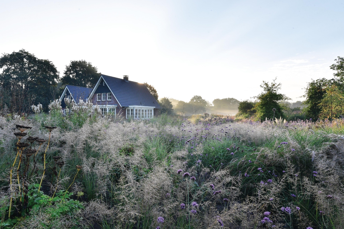 House and garden set against blue sky