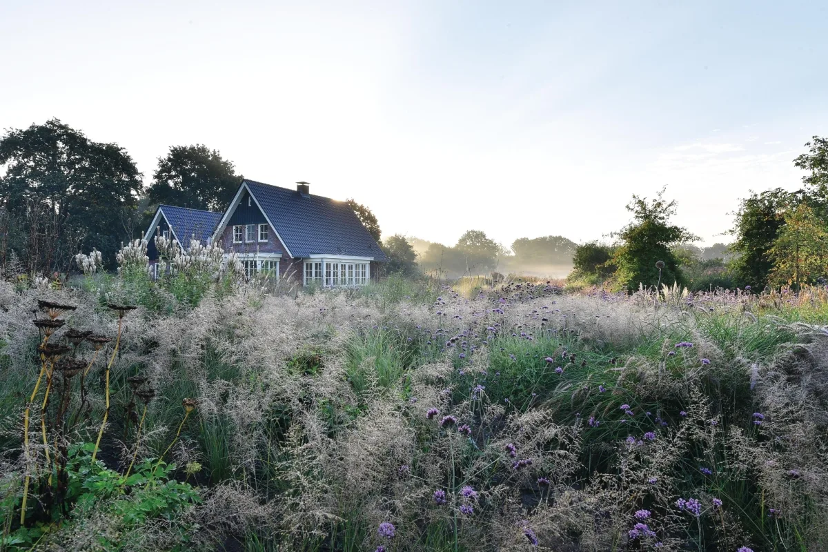 House and garden set against blue sky
