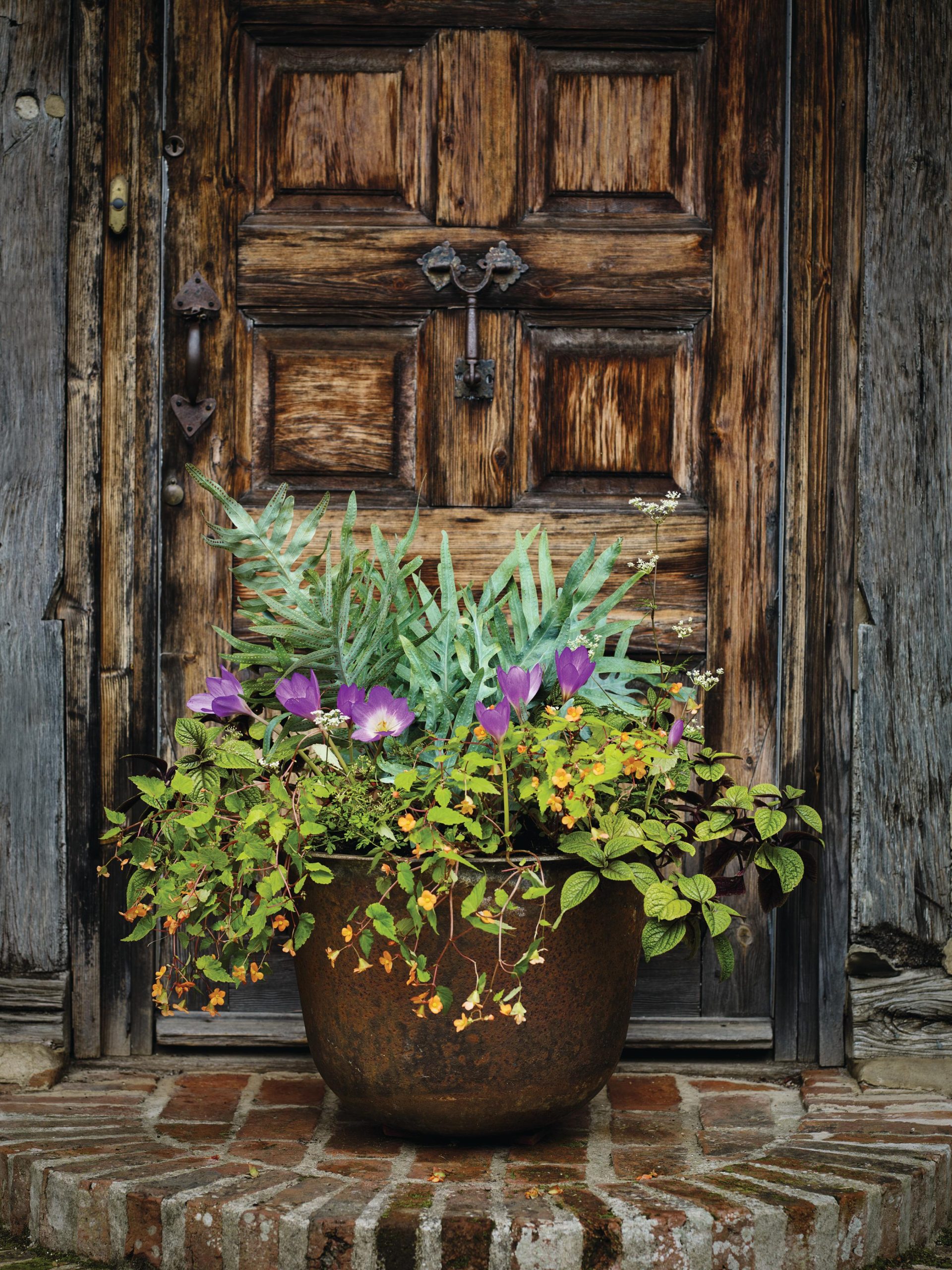 Plant pot