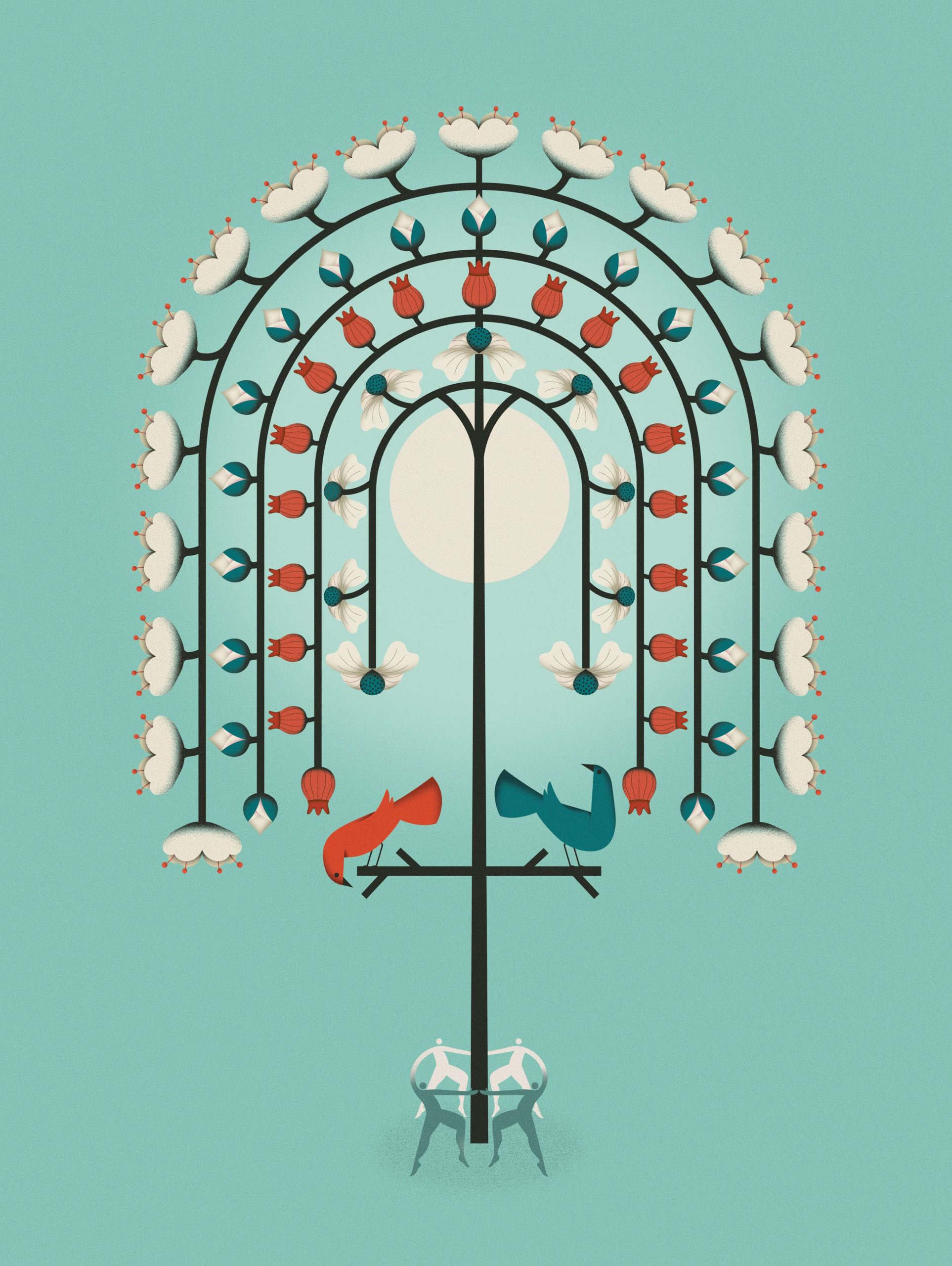 Plant illustration