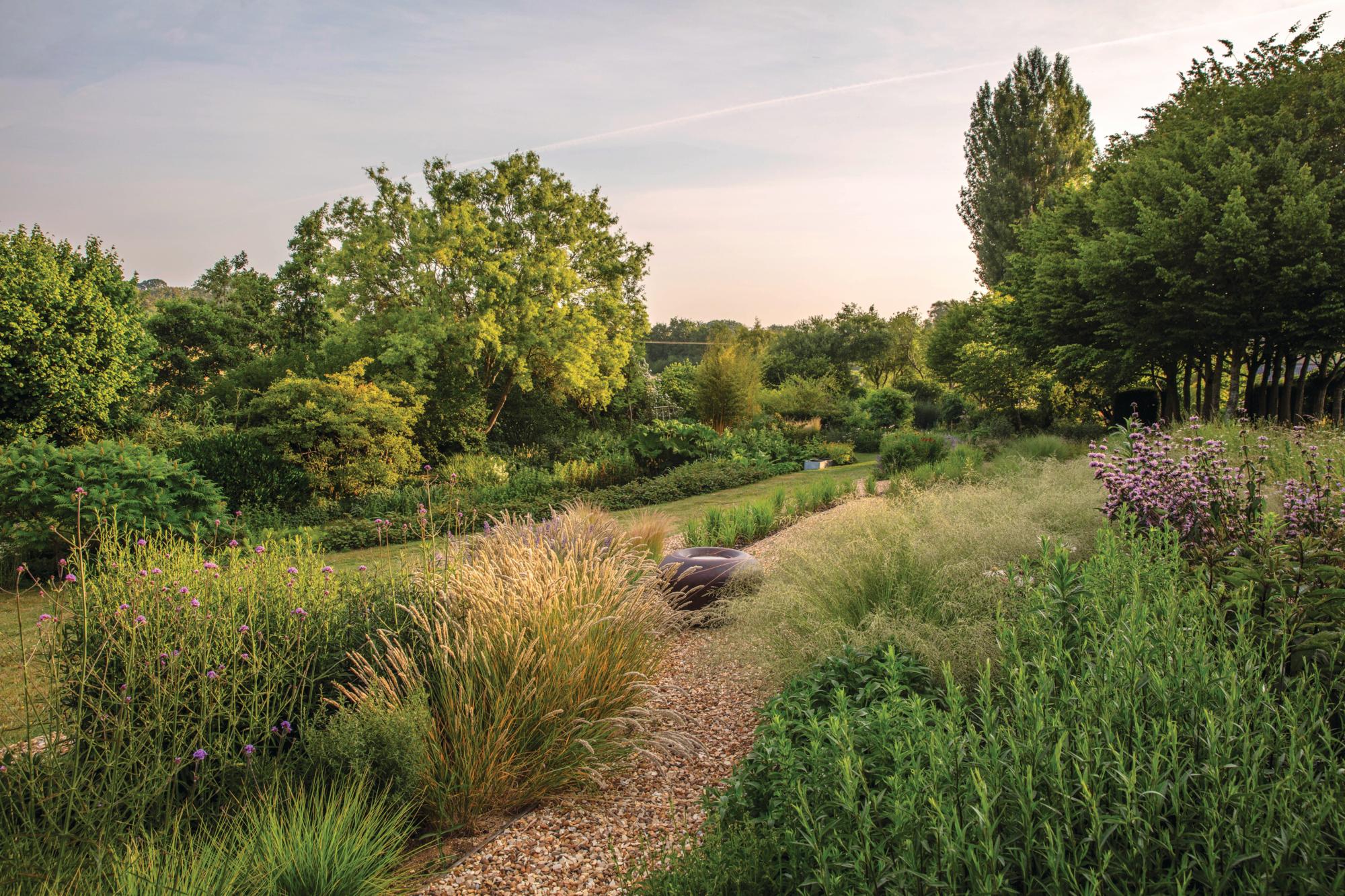 Looking across the Open Sky Garden at Old Park Barn