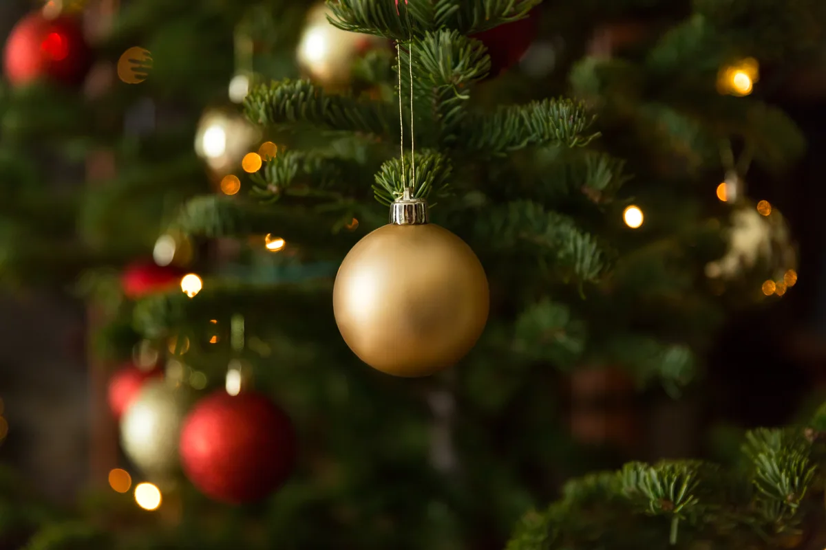 Christmas tree care