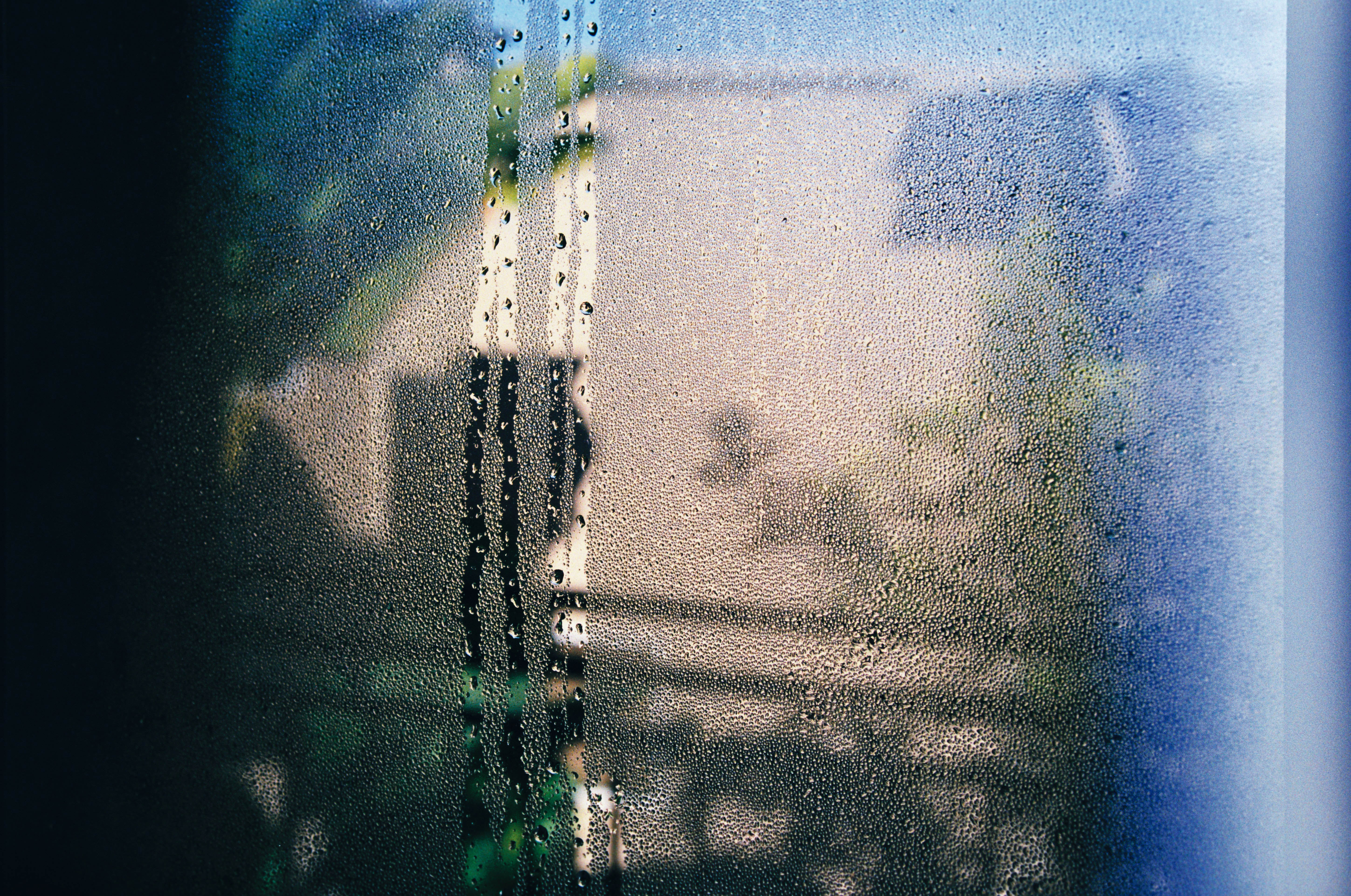 House plants and condensation © Unsplash / Randy Laybourne