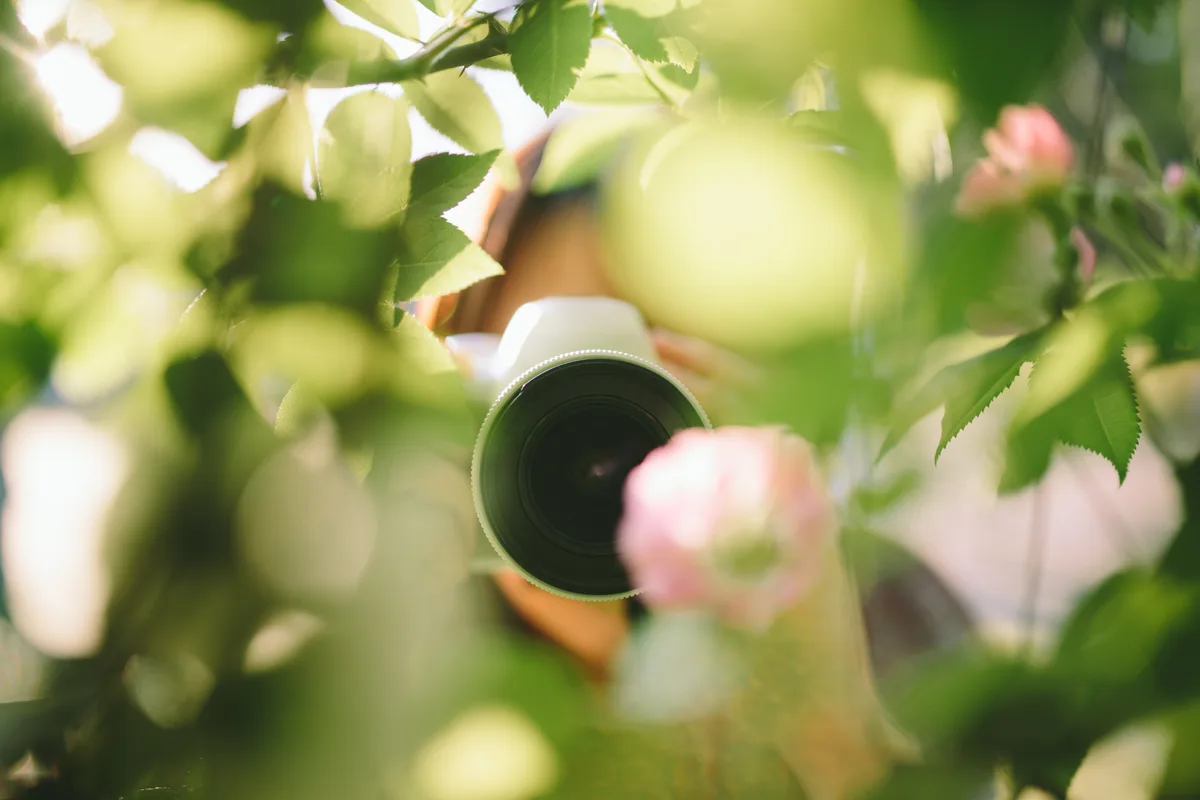 Photographer shooting a rose
