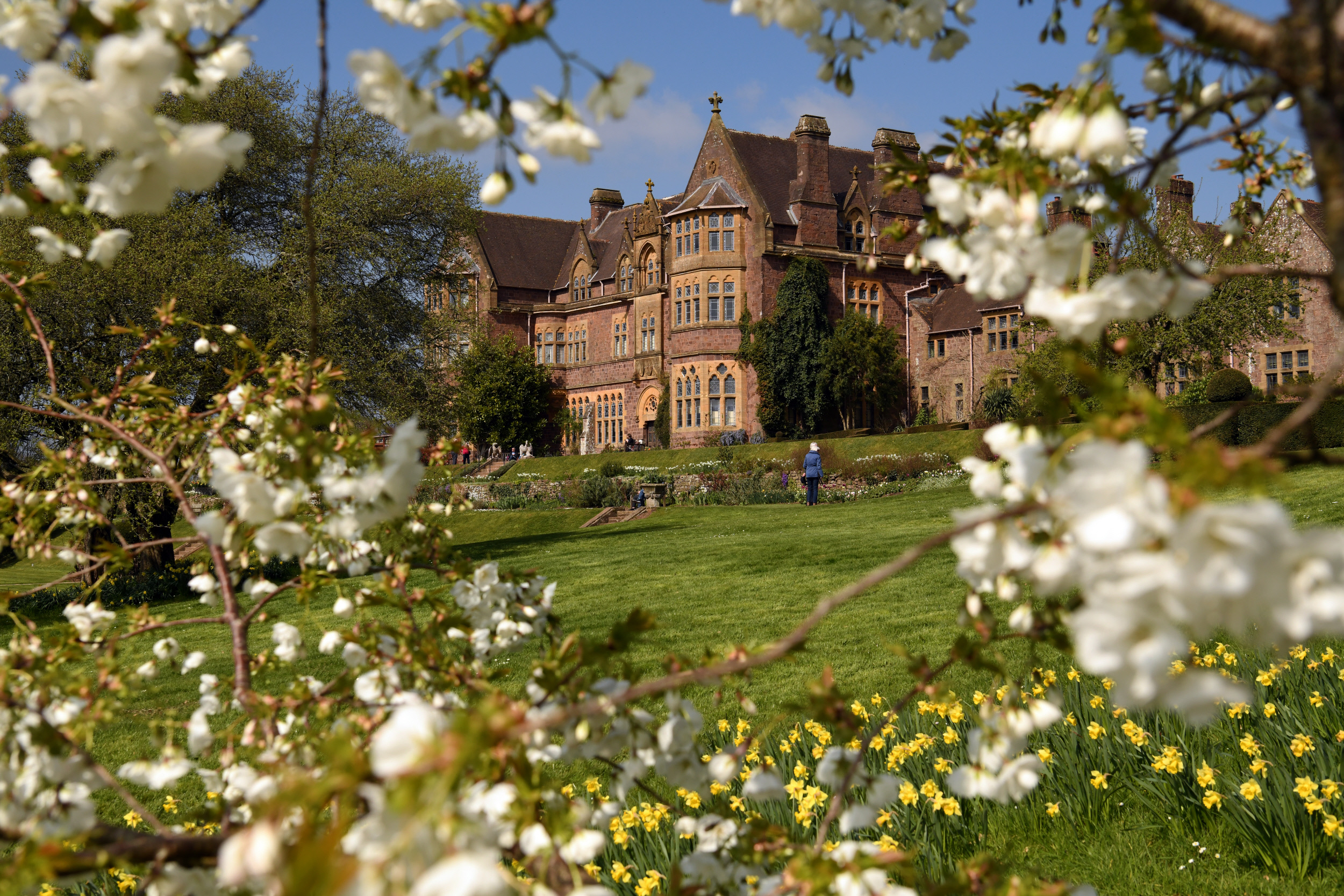 The house framed by spring blossom at Knightshayes, Devon