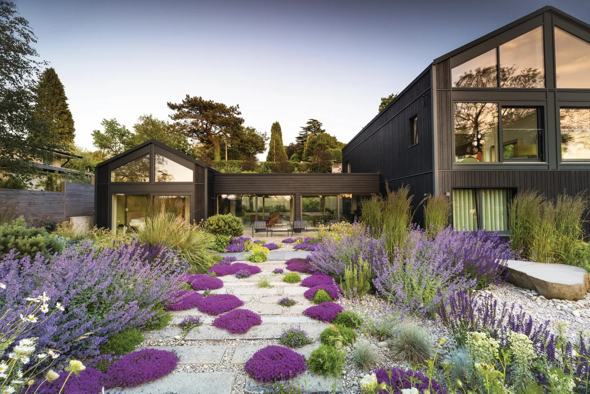 Modern house and garden