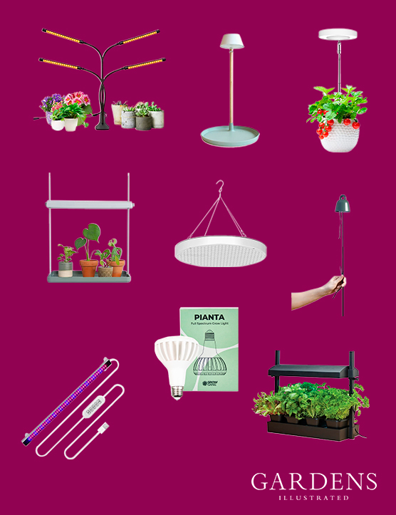 A selection of plant grow lights on a pink background