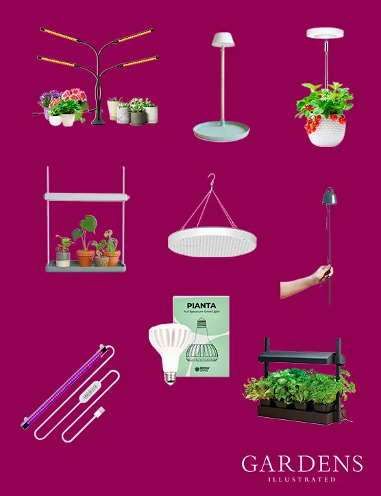 A selection of plant grow lights on a pink background