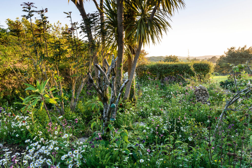 Sid Hill Forest Garden