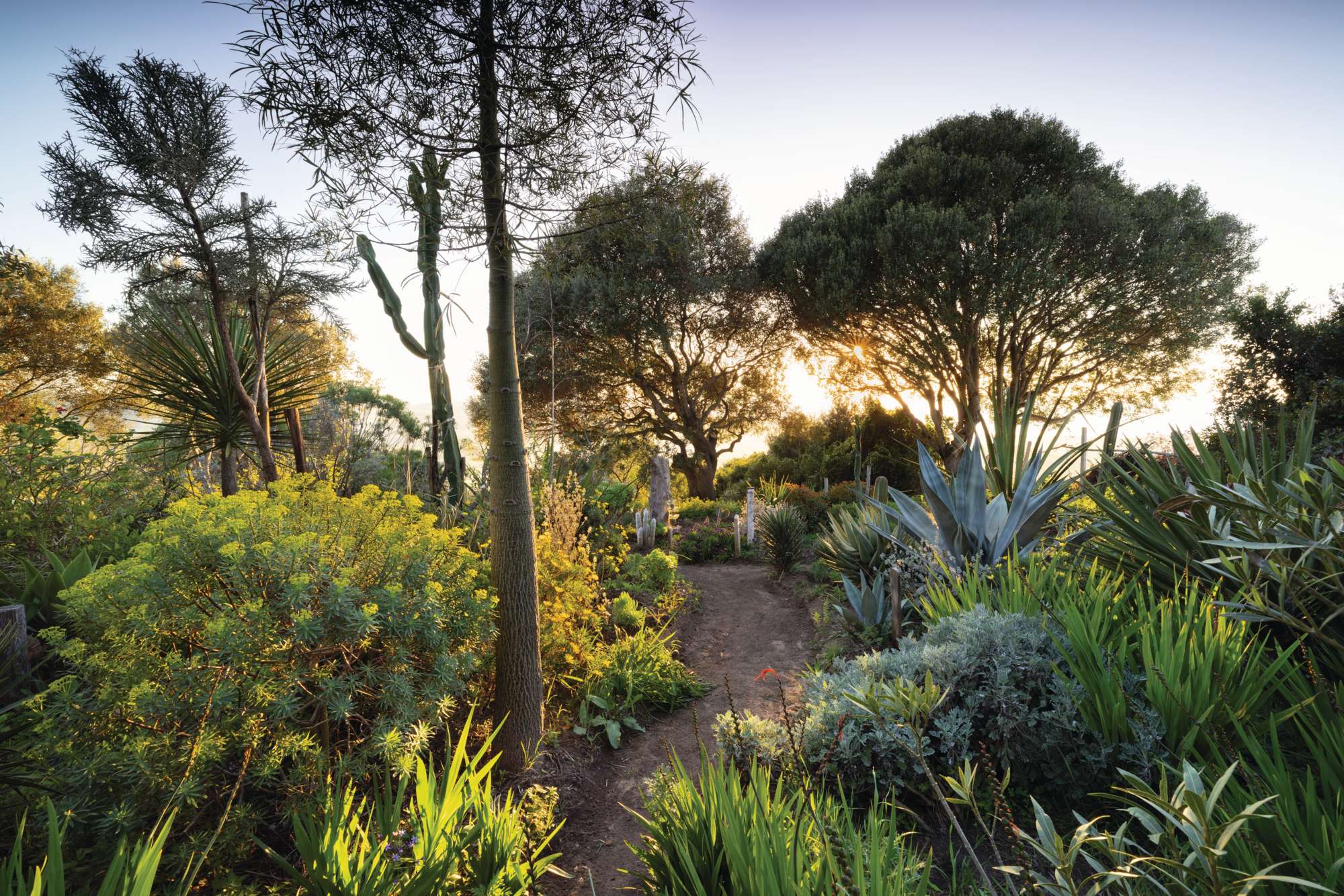 Rohuna gardens in Morocco