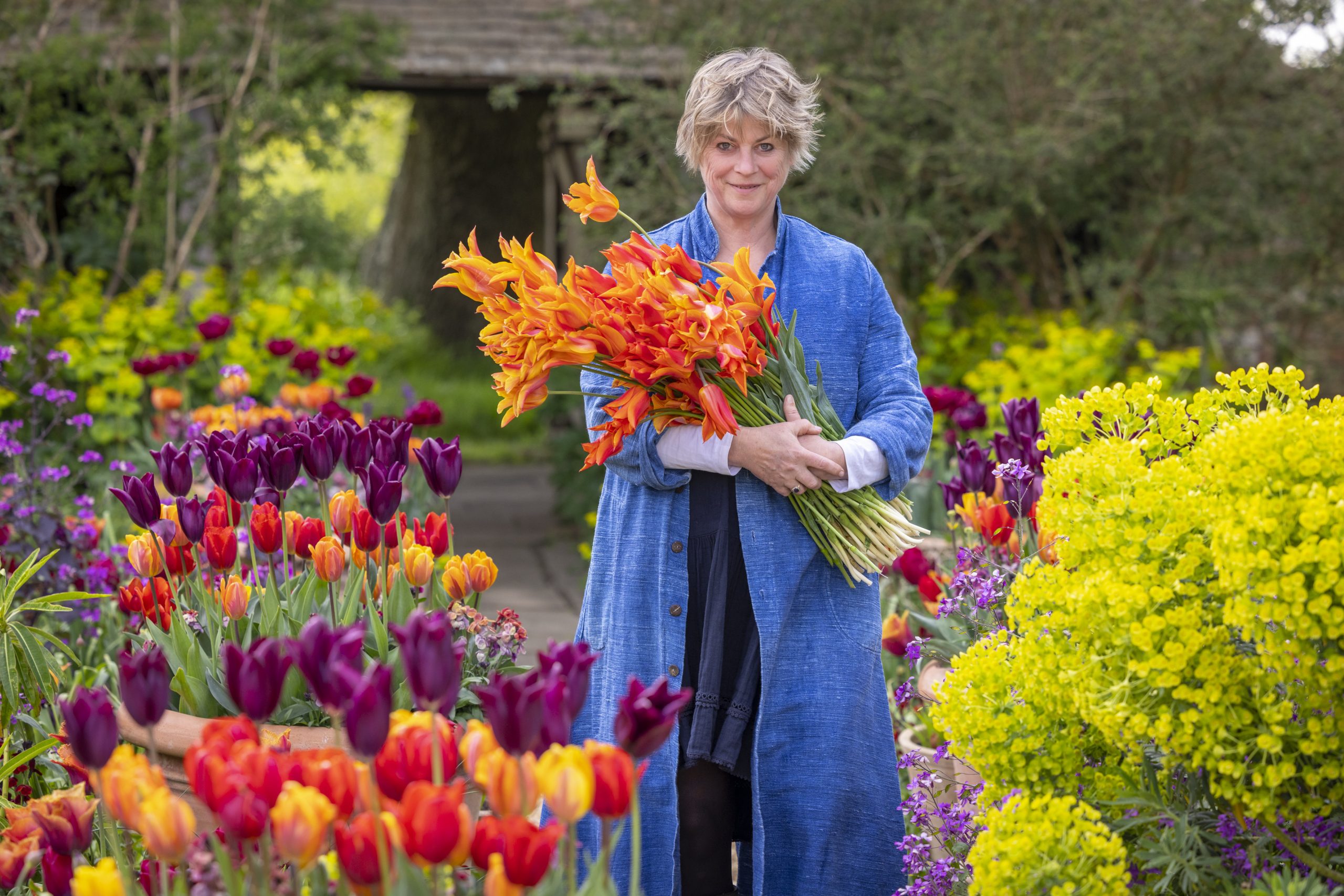 Sarah Raven carrying a bunch of Tulip 'Ballerina'.