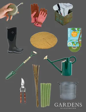 Tree-planting tools Compilation of tree-planting tools on a grey background