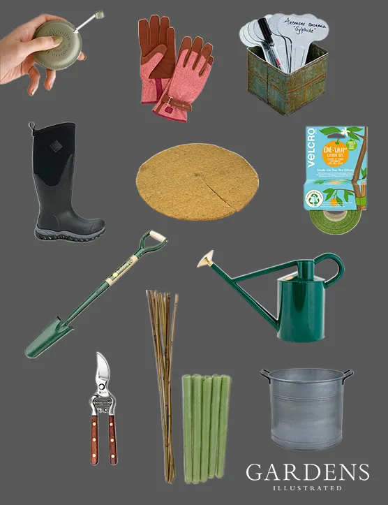 Tree-planting tools Compilation of tree-planting tools on a grey background