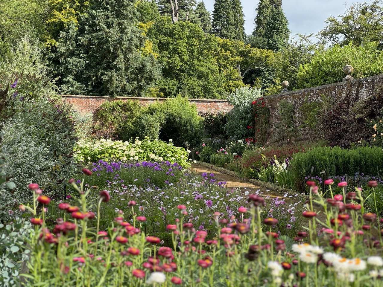 Flowers in Bowood Walled Garden