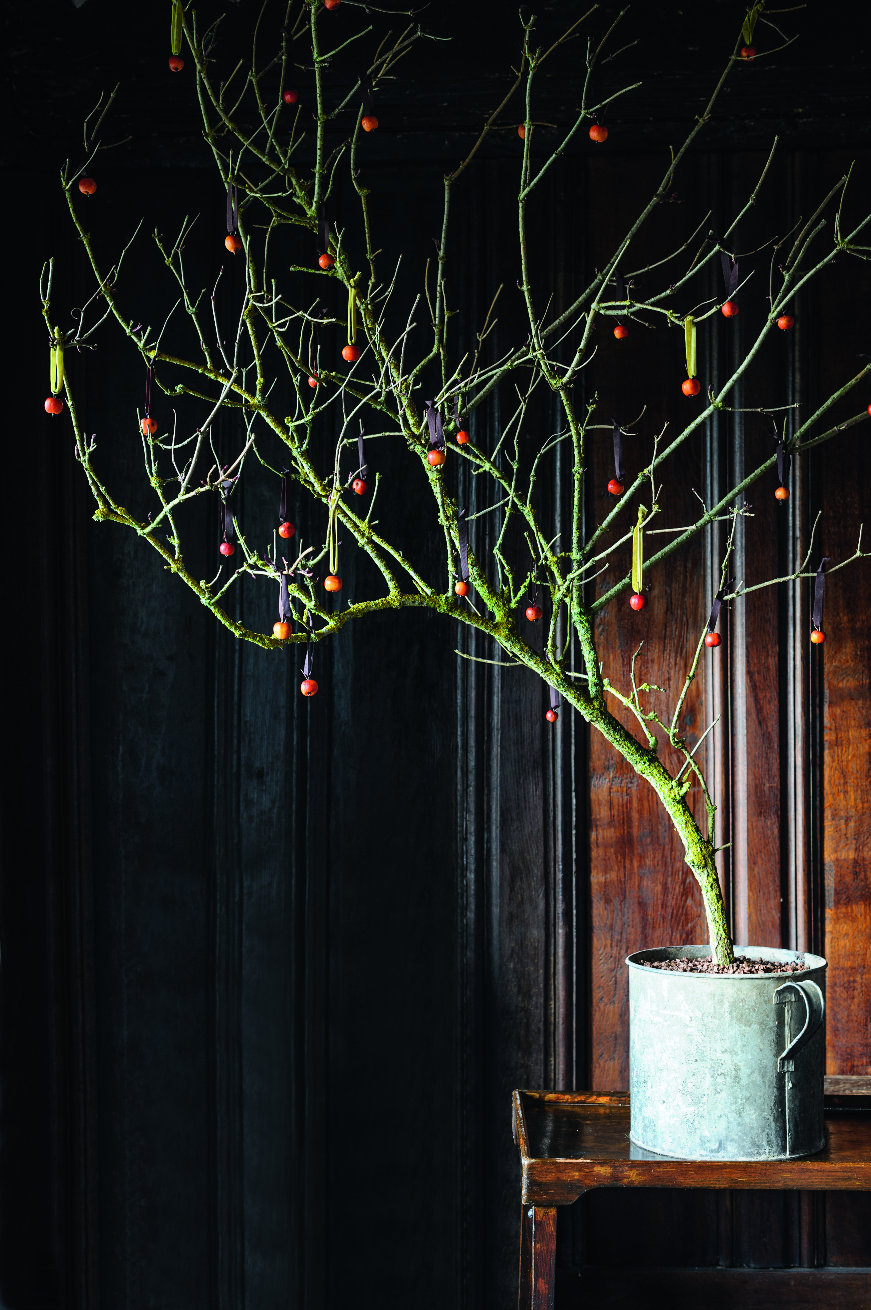 Natural Christmas decorations