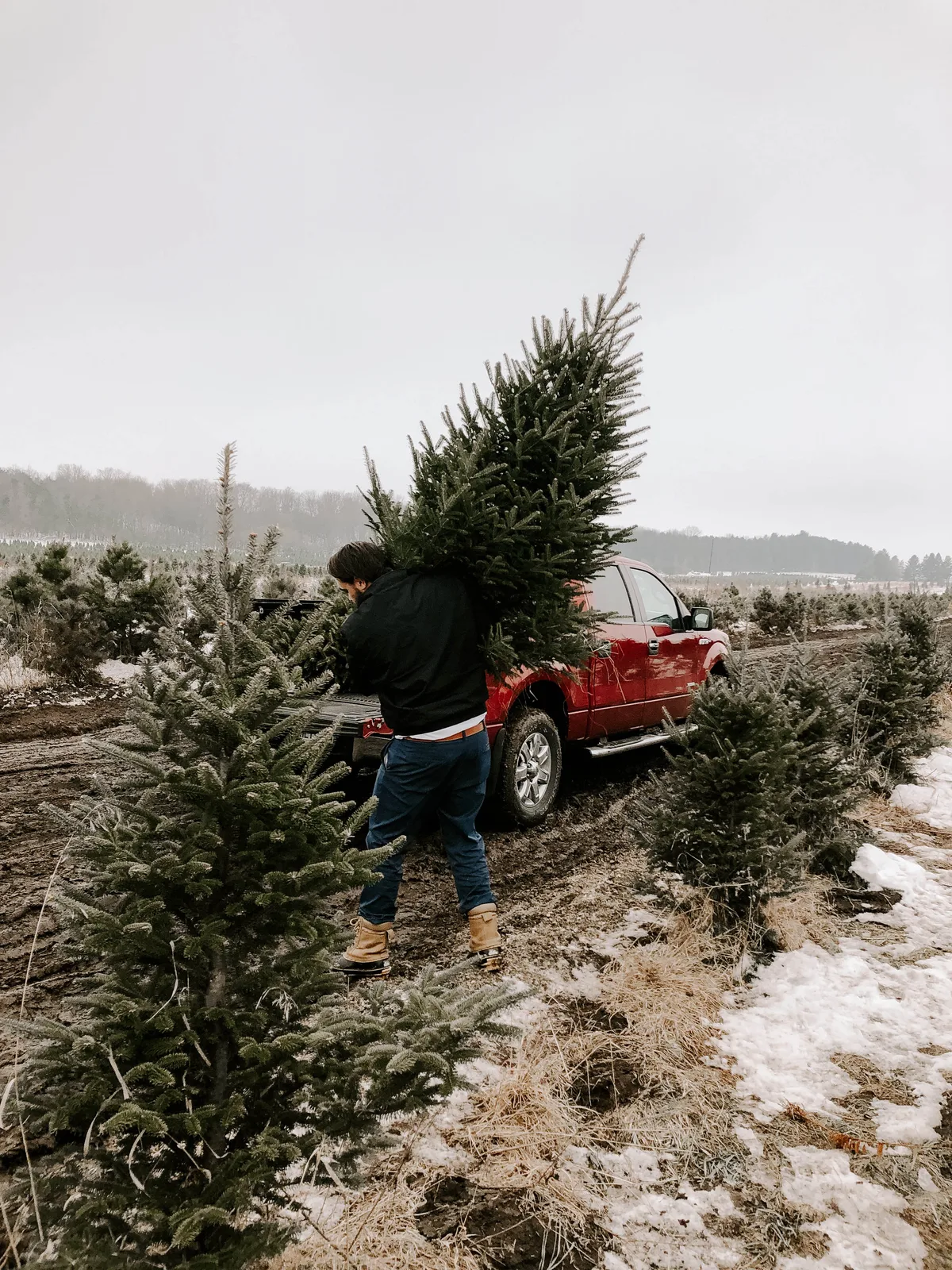 Buying a cut Christmas tree © Julianna Arjes / Unsplash