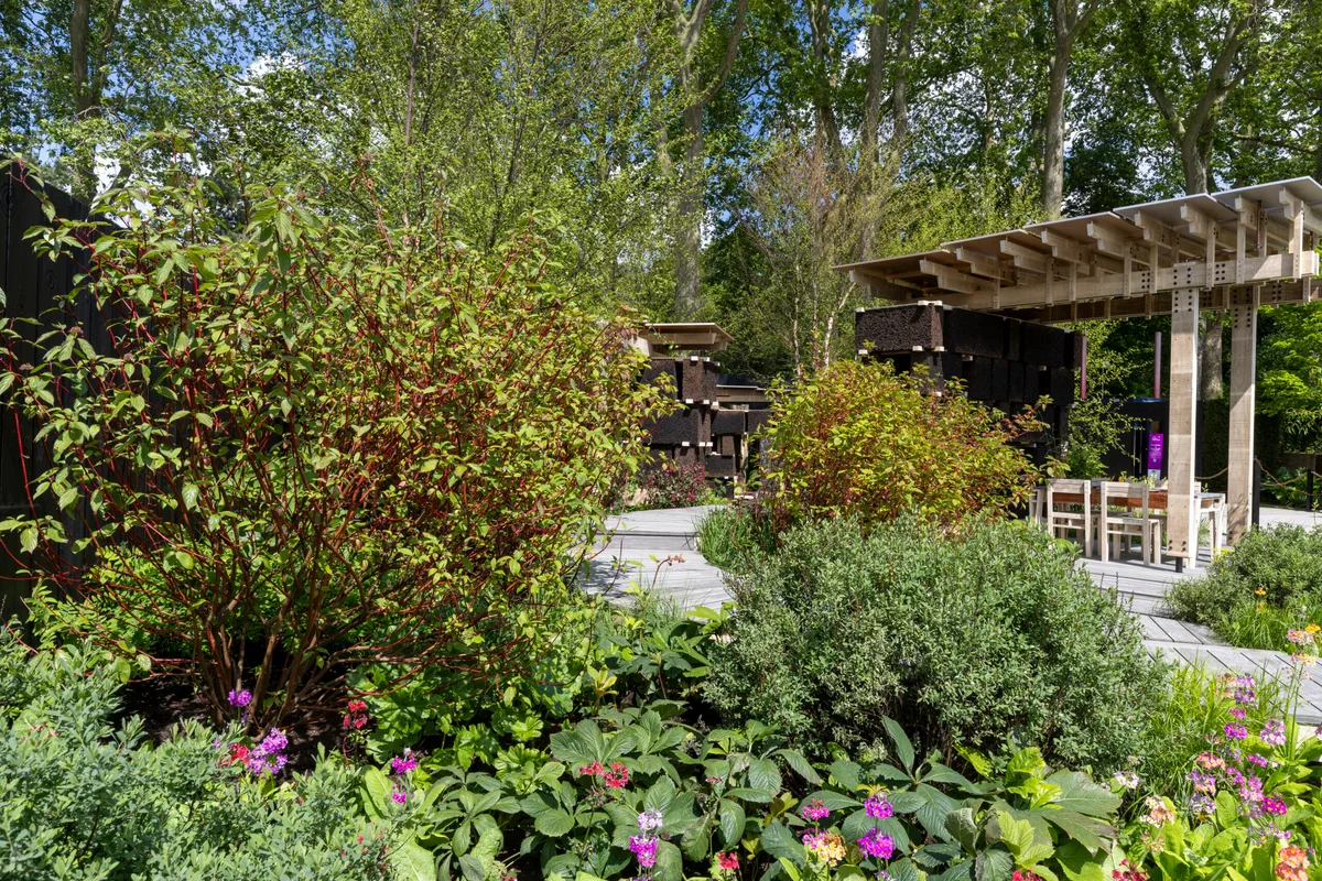 The National Autistic Society Garden at RHS Chelsea Flower Show 2024. Designed by Sophie Parmenter and Dido Milne. Sponsored by Project Giving Back.