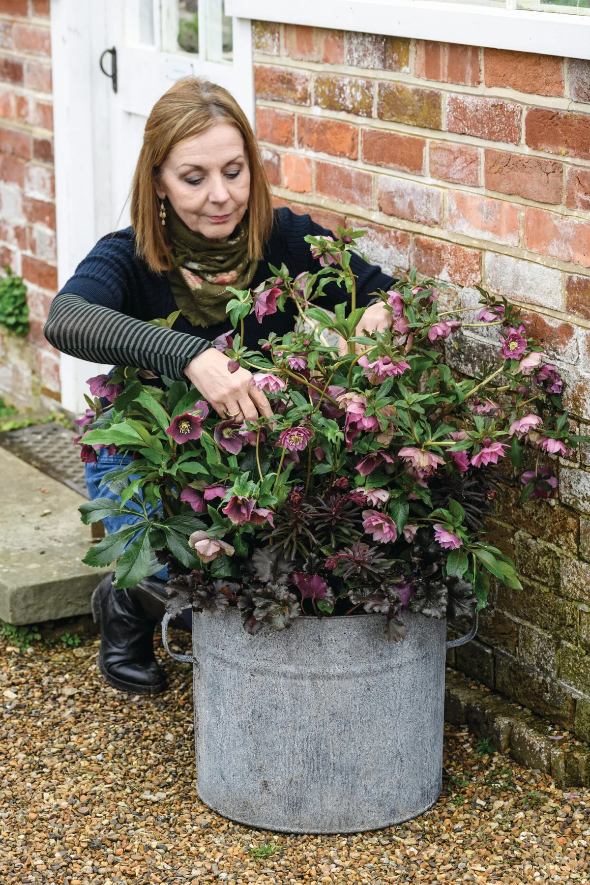 Jo Thompson's container planting ideas using hellebores and heuchera