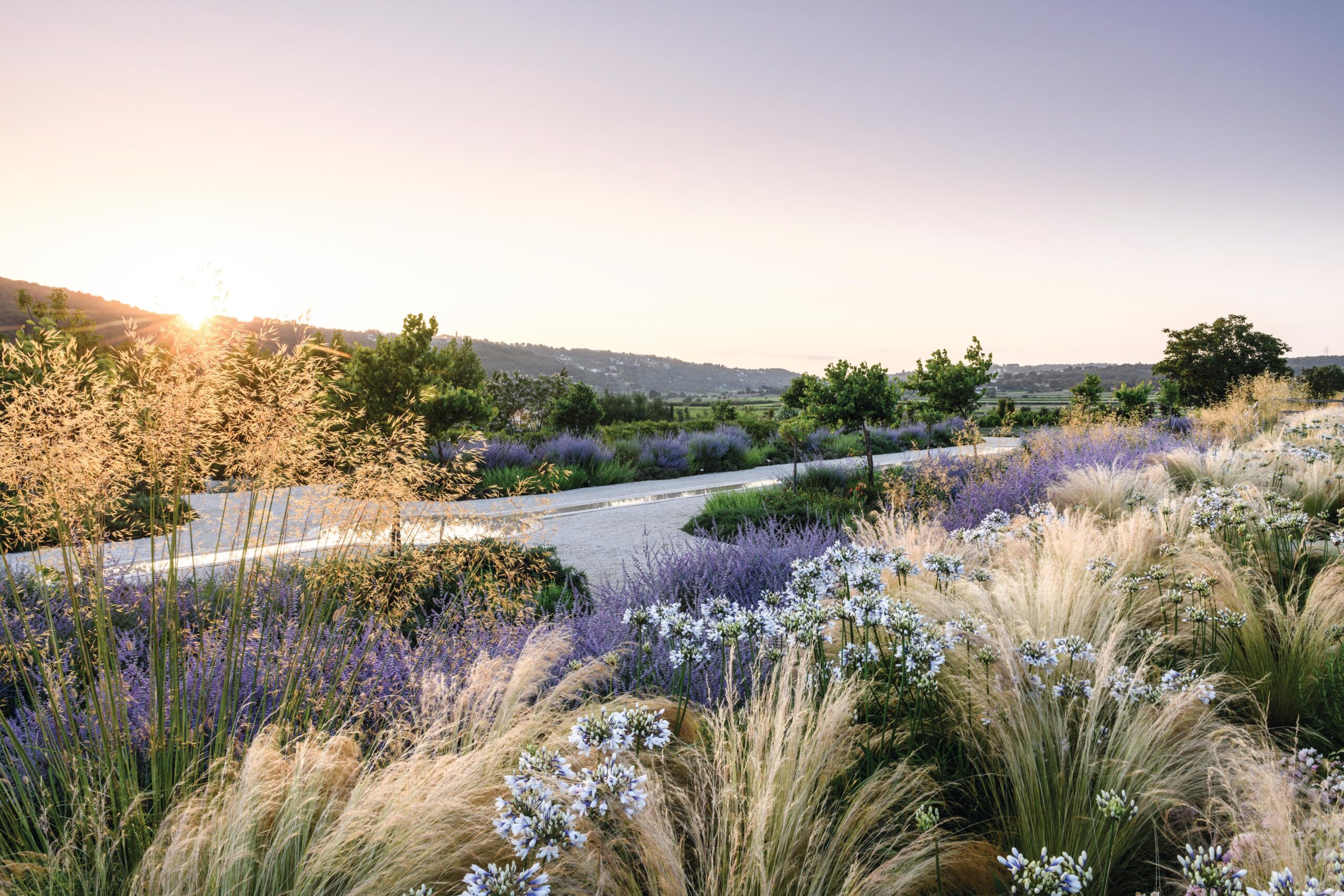 Italian garden borders filled with plants