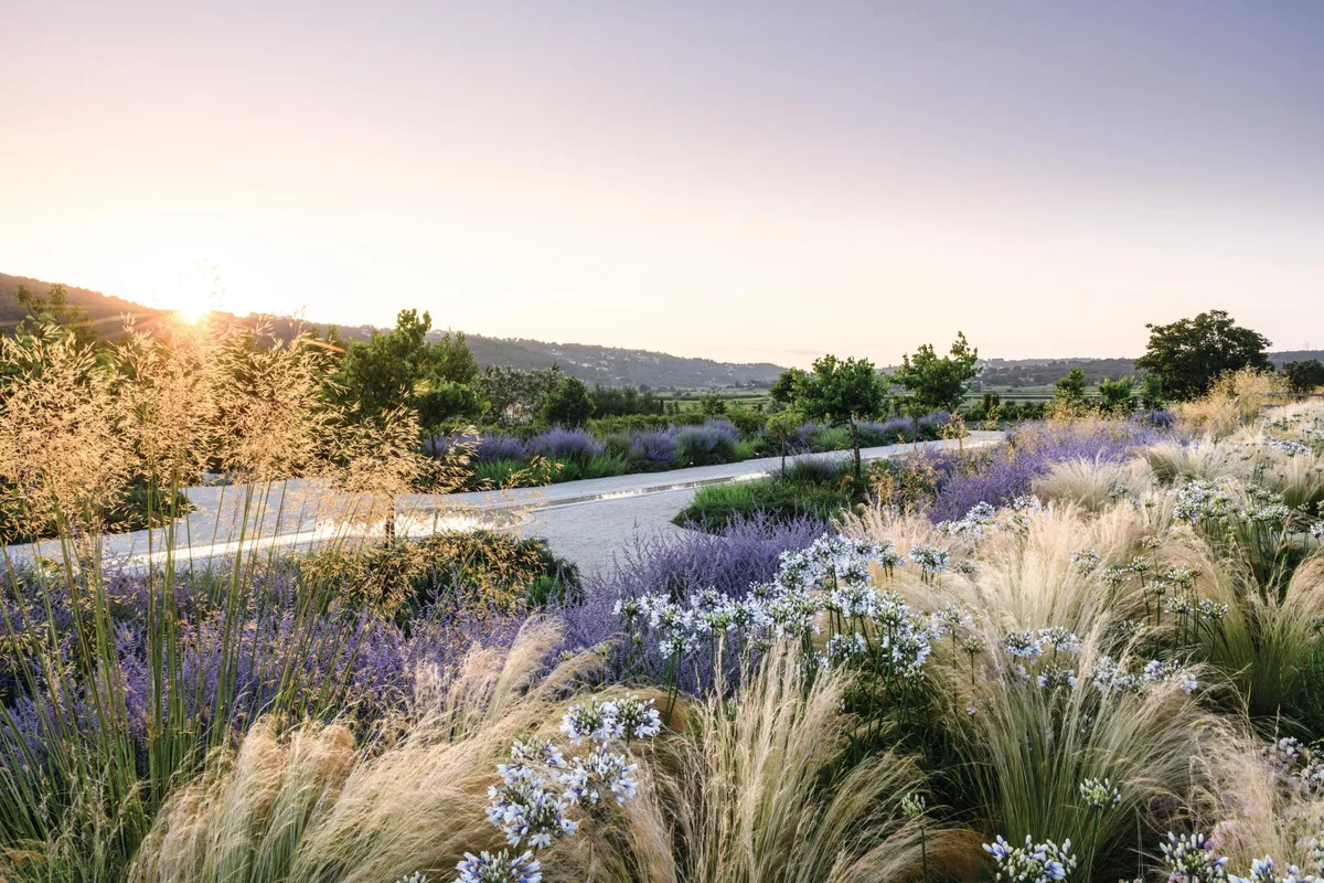Italian garden borders filled with plants