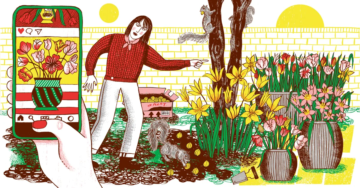 Alice Vincent's column, illustrated by Alice Pattulo