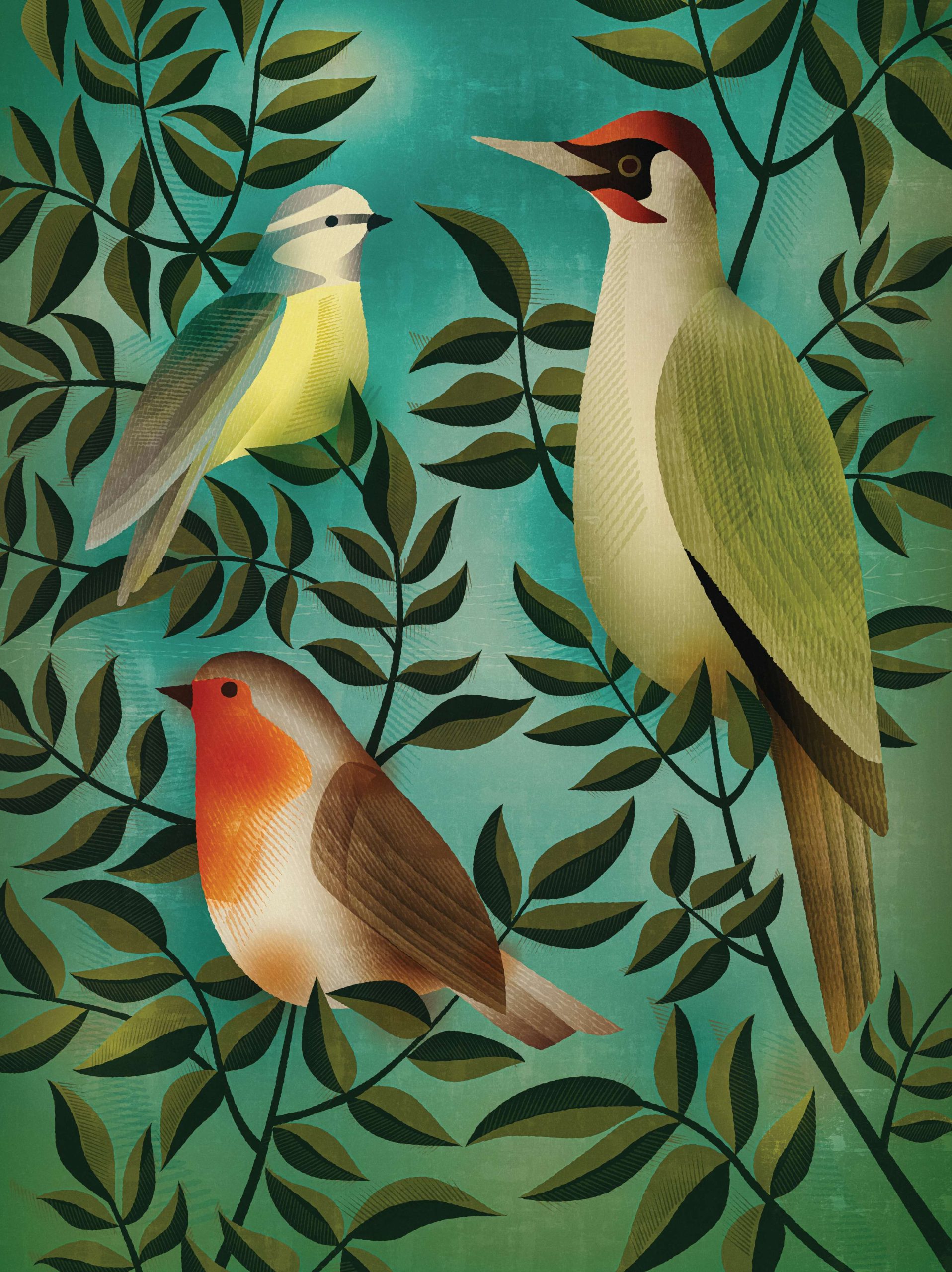 Garden bird illustration