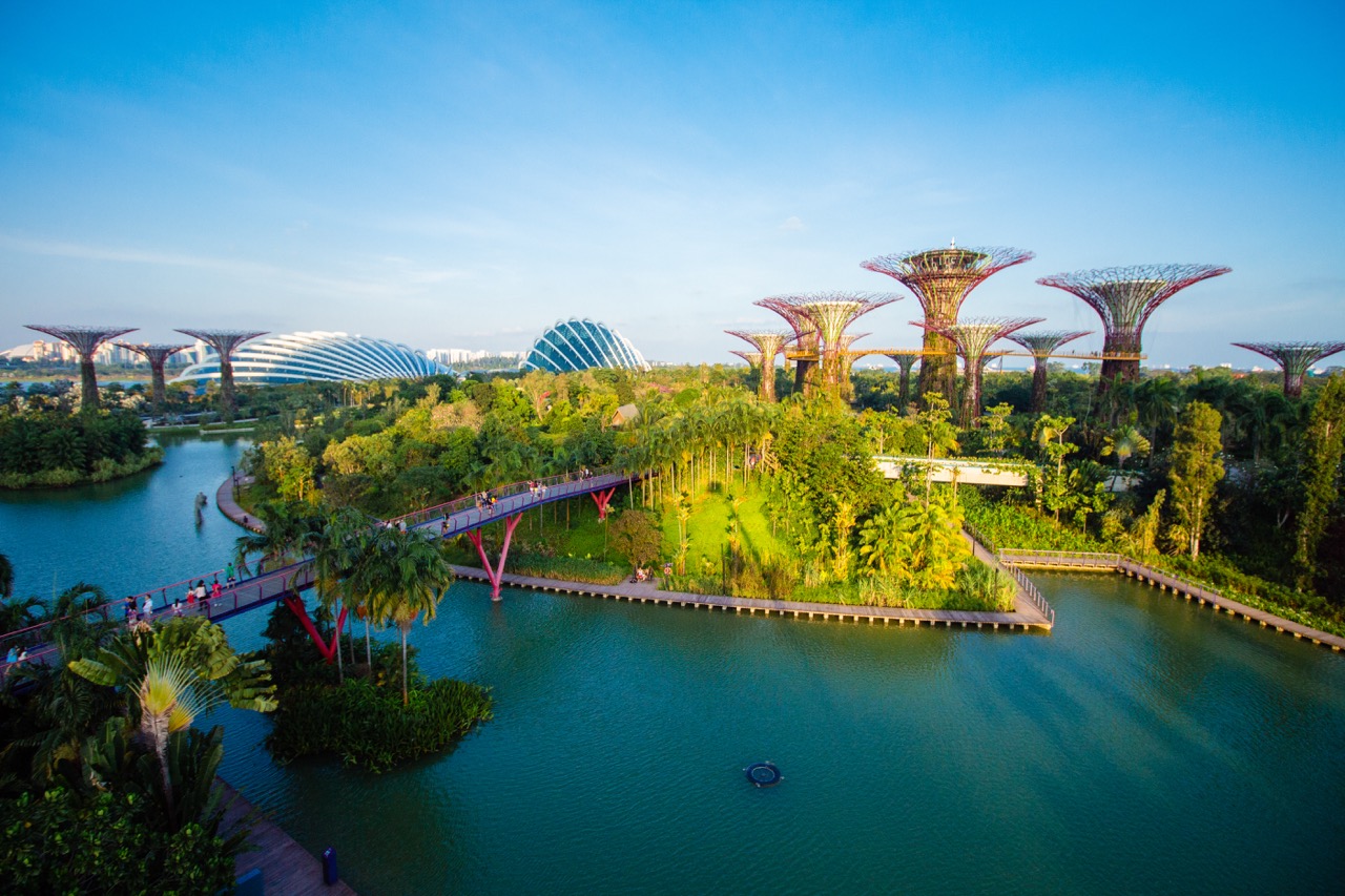 The gardens’ towering ‘supertrees’ make it a unique place to visit. Credit: Gardens by the Bay