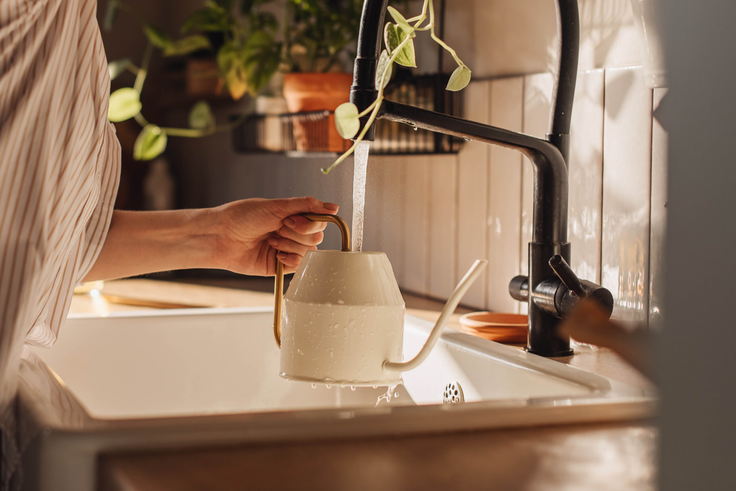 Filling a watering can with tap water