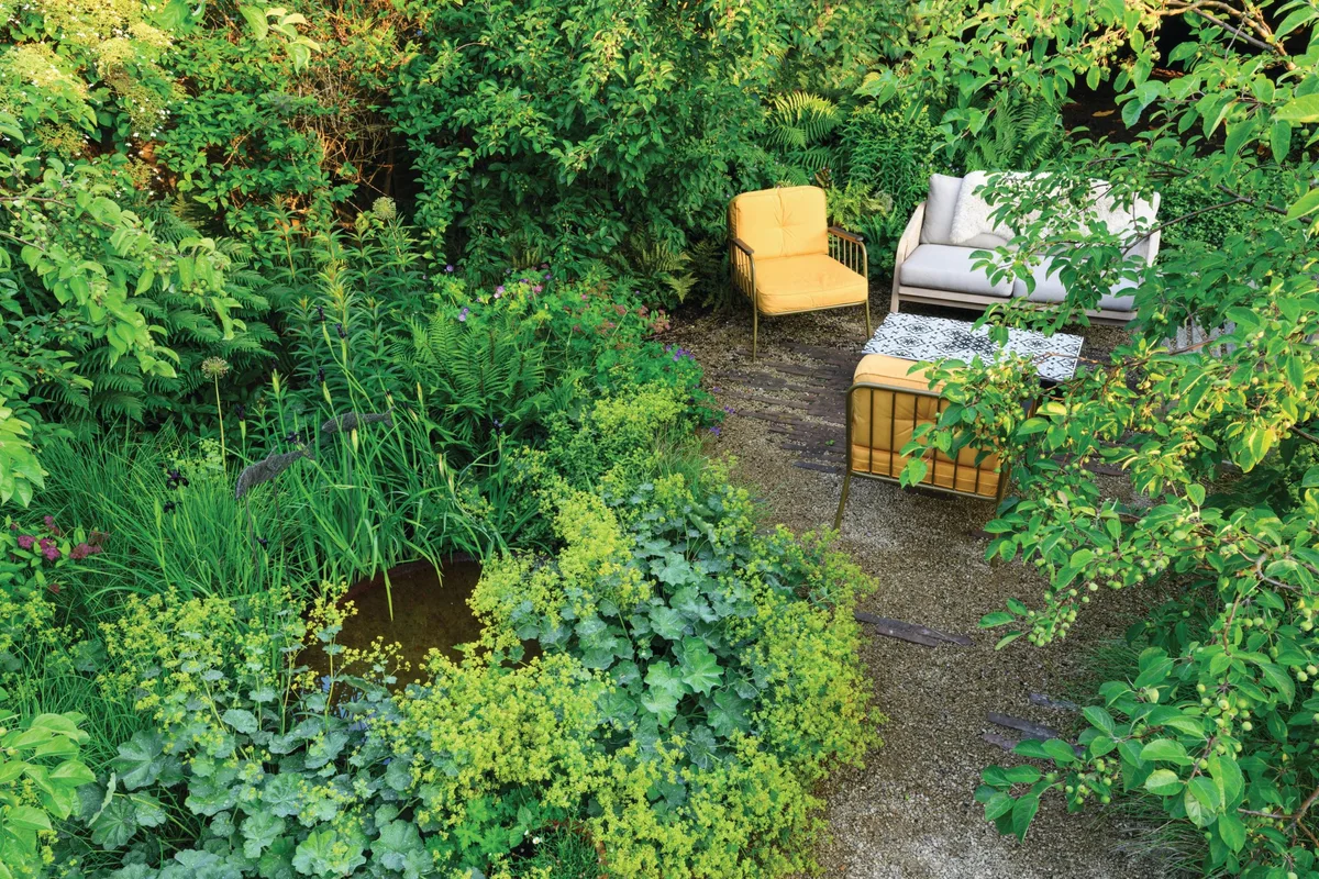 Garden and seating