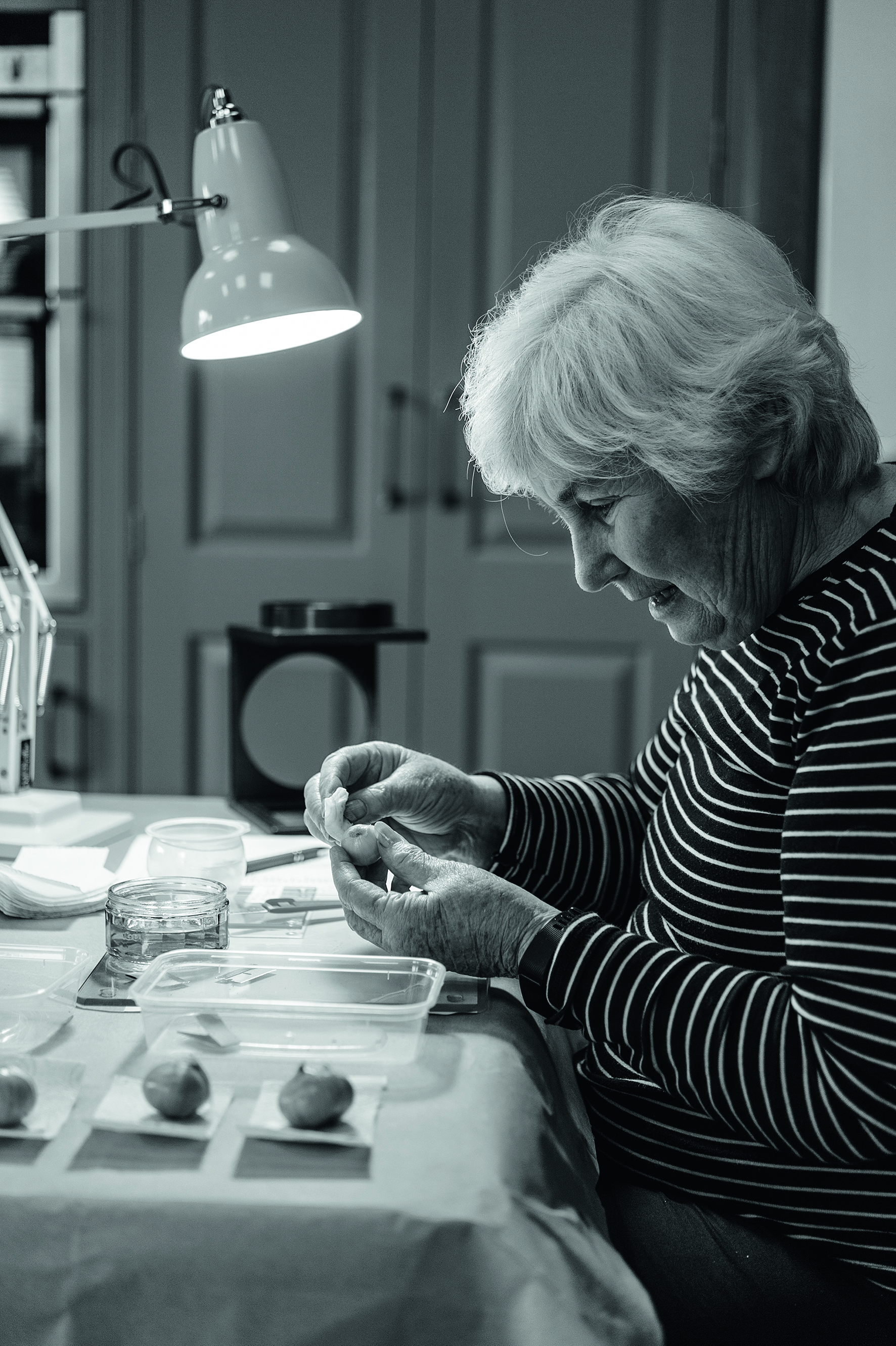 Margaret MacLennan propagating snowdrops