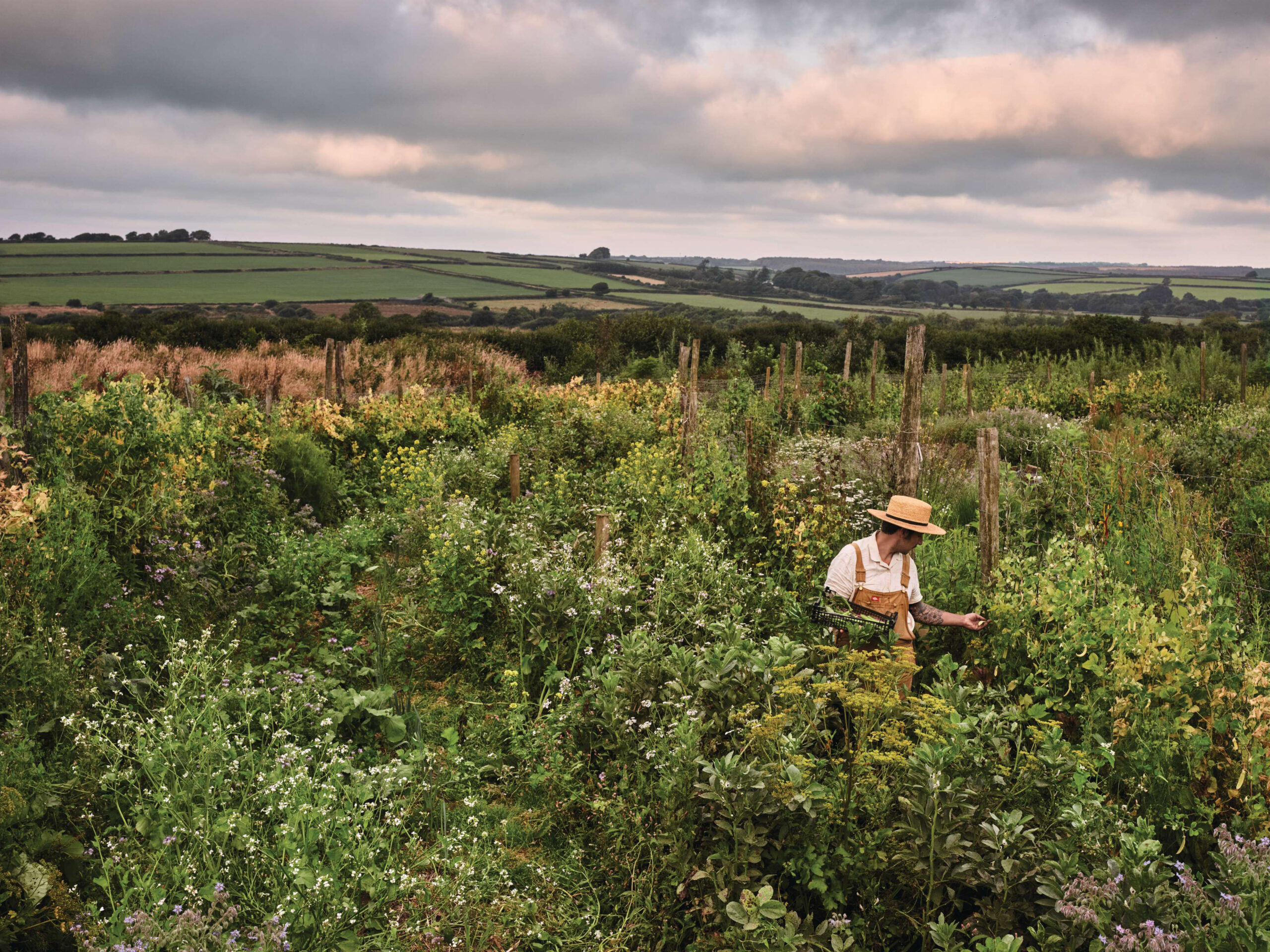 Joshua Sparkes Devon garden