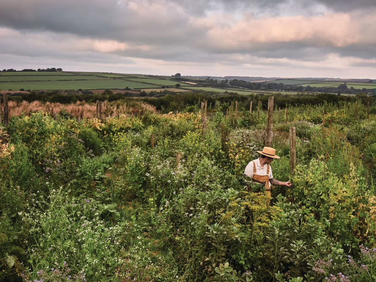 Joshua Sparkes Devon garden