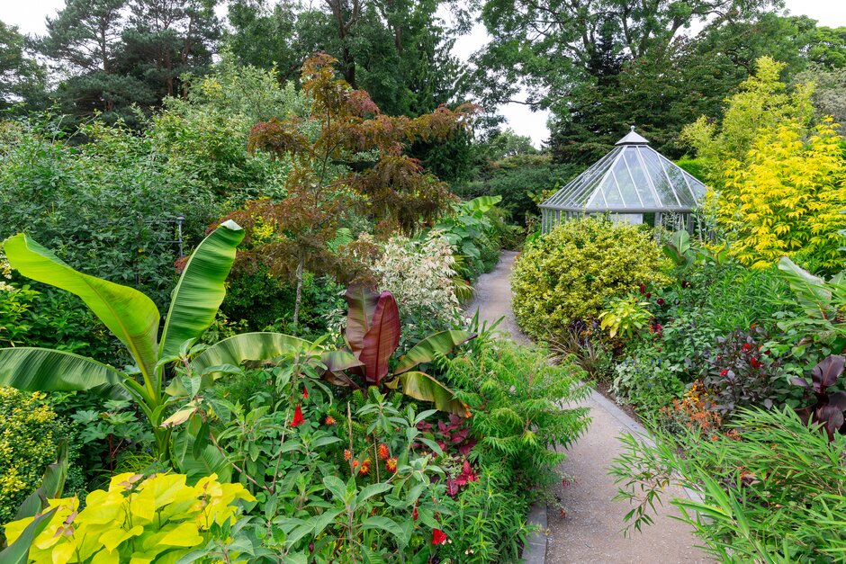 The Subtropical border at RHS Garden Harlow Carr.