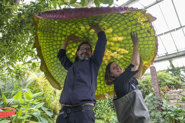 Gardeners at Royal Botanic Gardens, Kew. Credit: RBG Kew