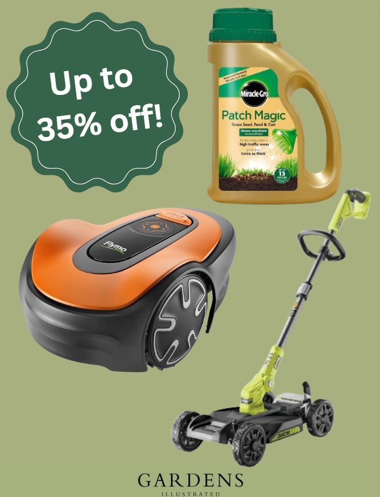 Amazon lawn care deals on a green background