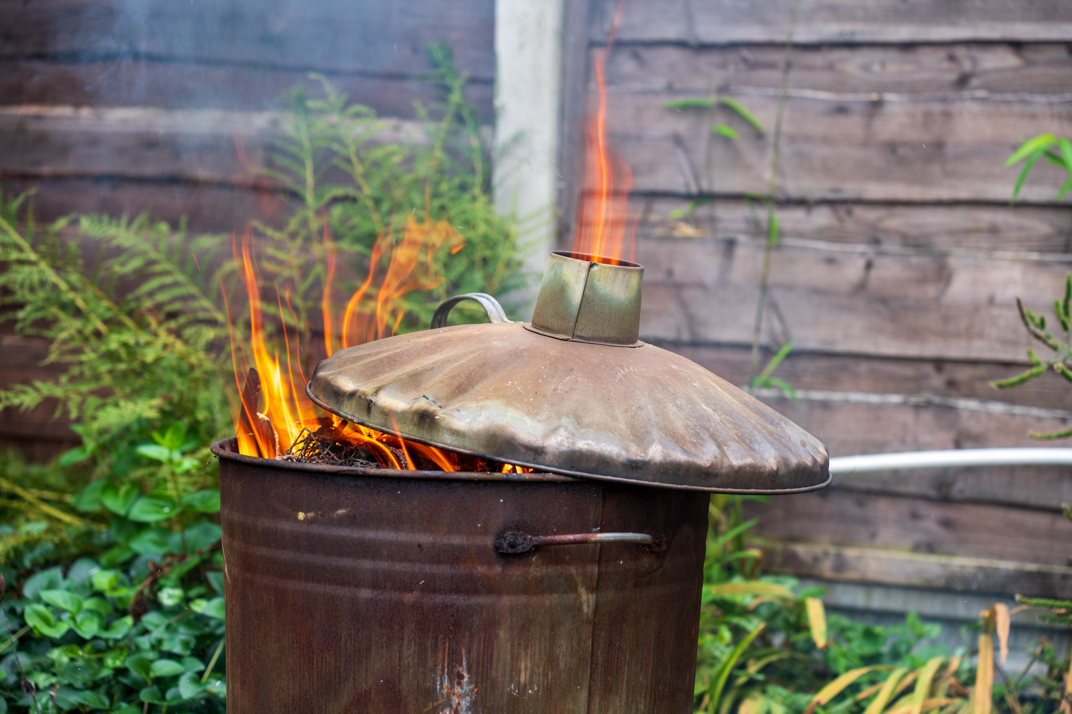 A metal brazier ablaze with flames, surrounded by lush greenery.