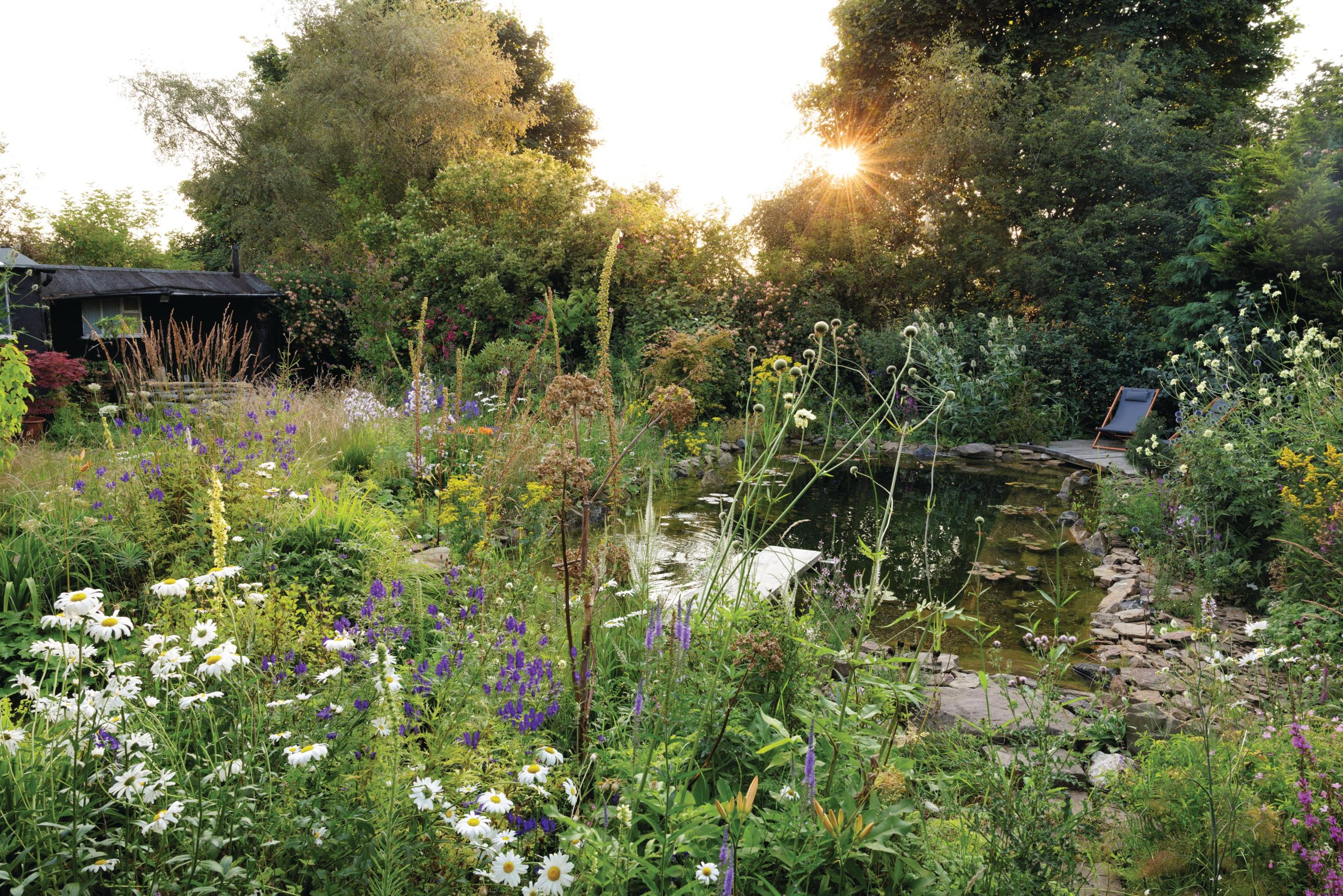 Lush garden swimming pond