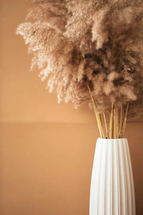 Dried pampas grass in a vase