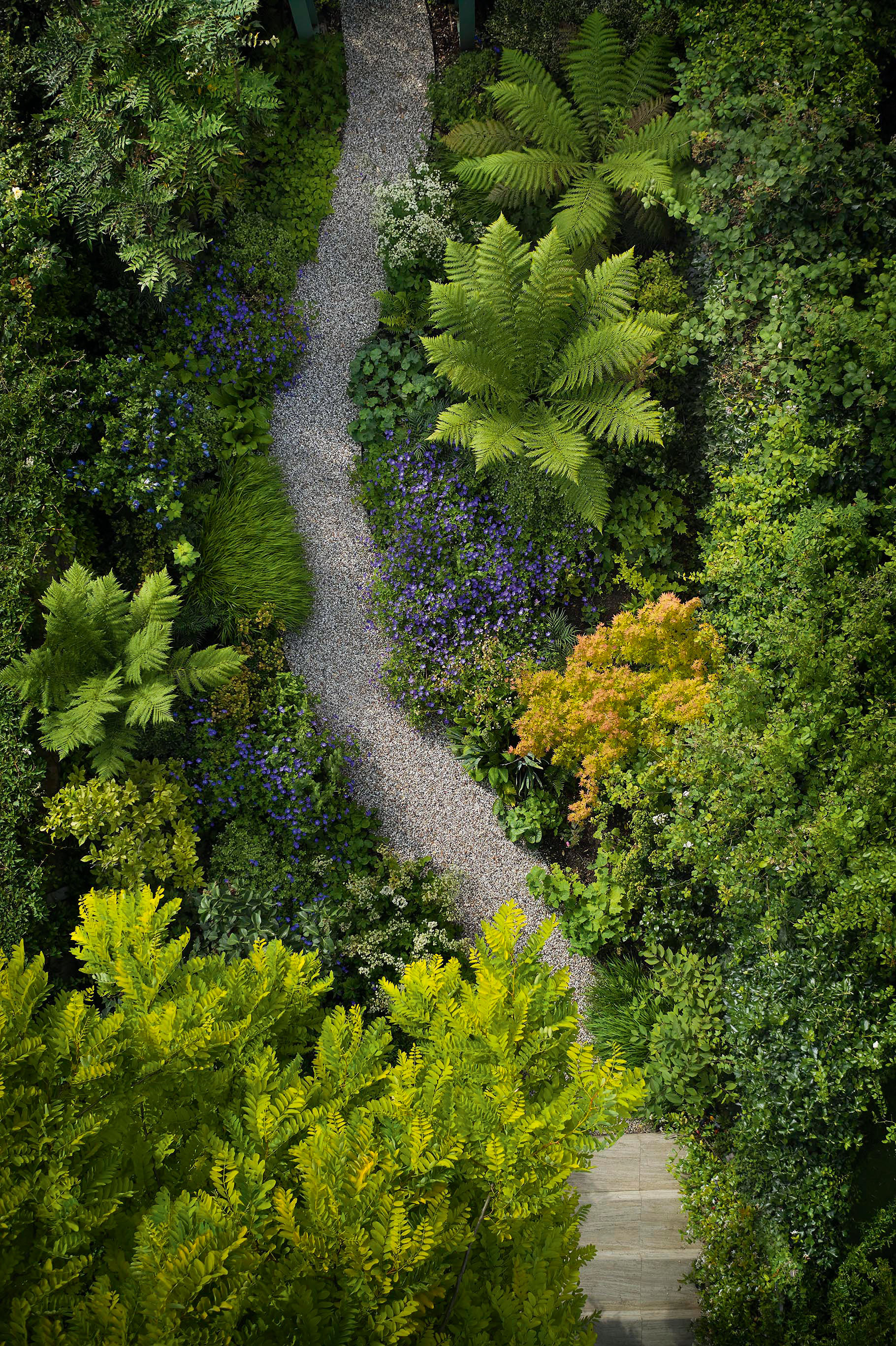 Lush planting in a small garden by Stefano Marinaz