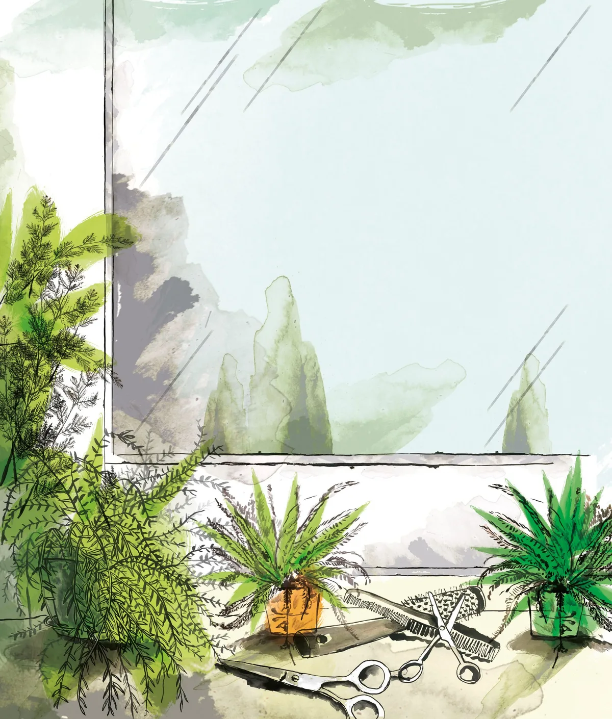 Asparagus fern