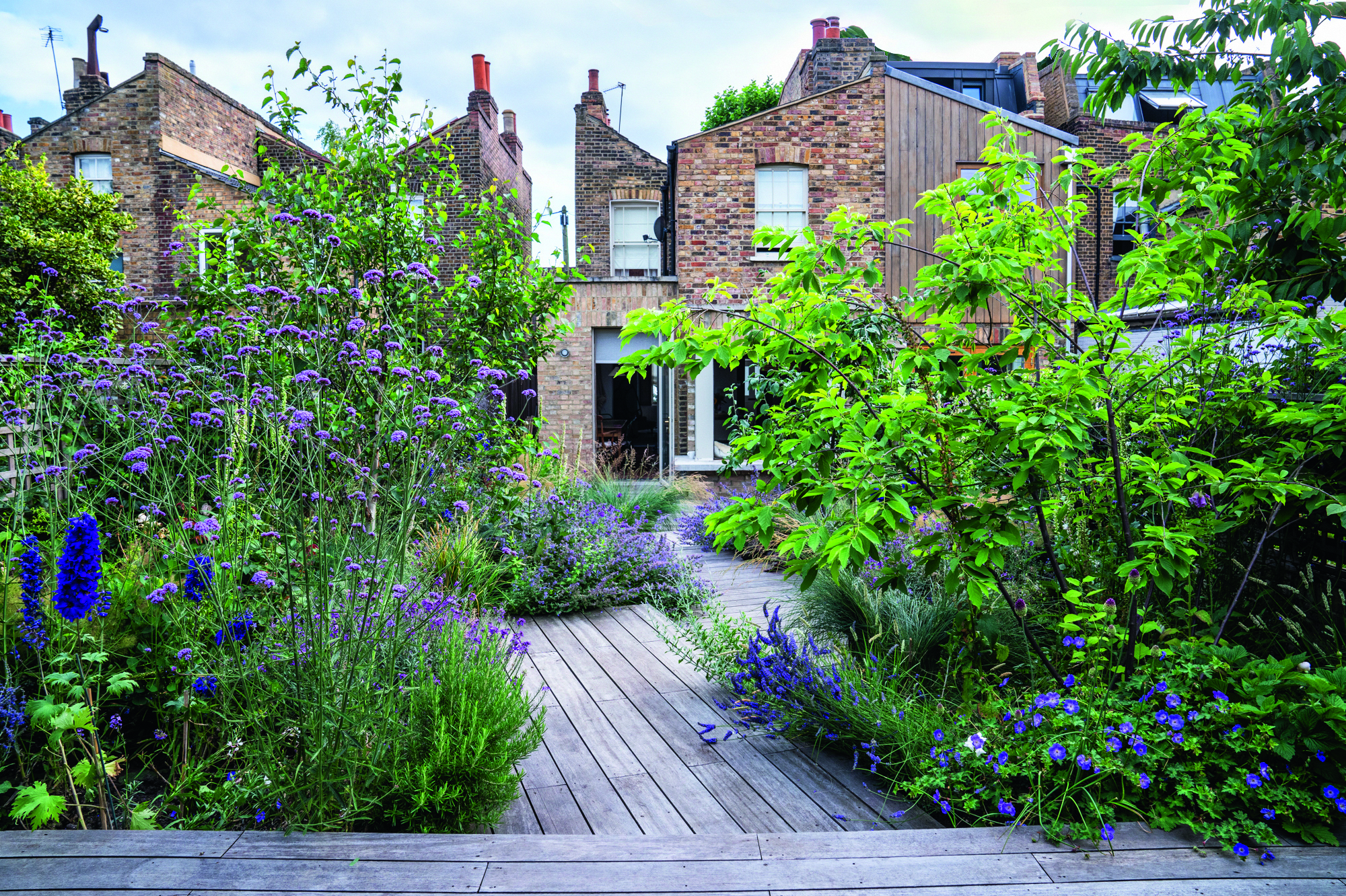 House and garden