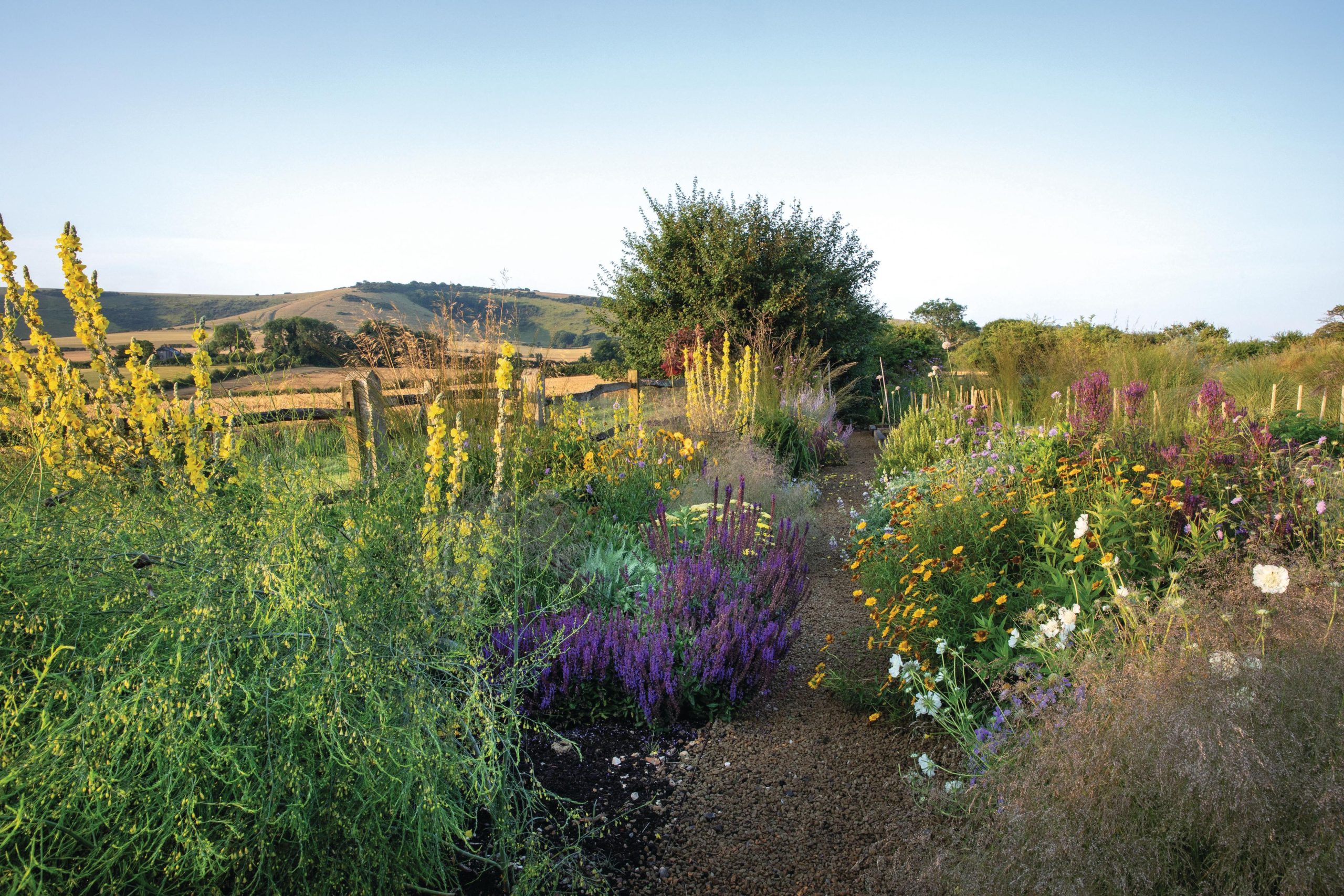 Garden in the countryside