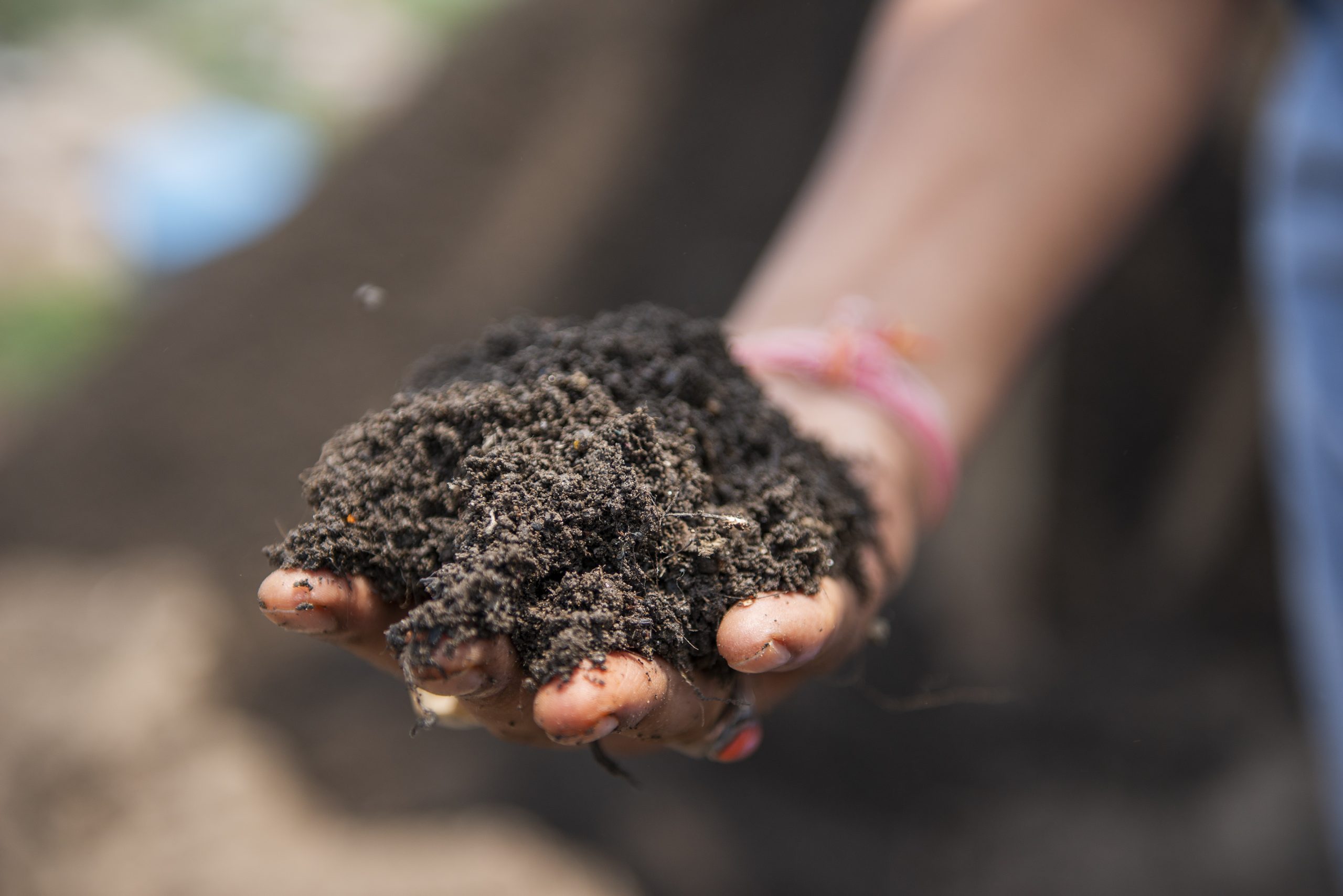 A hand holding soil