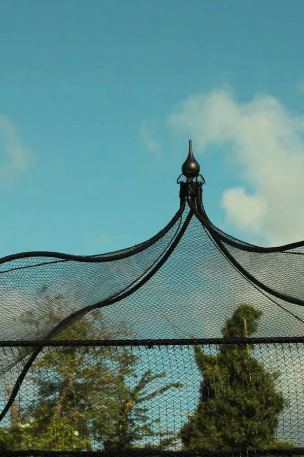Gothic Roof Fruit Cage
