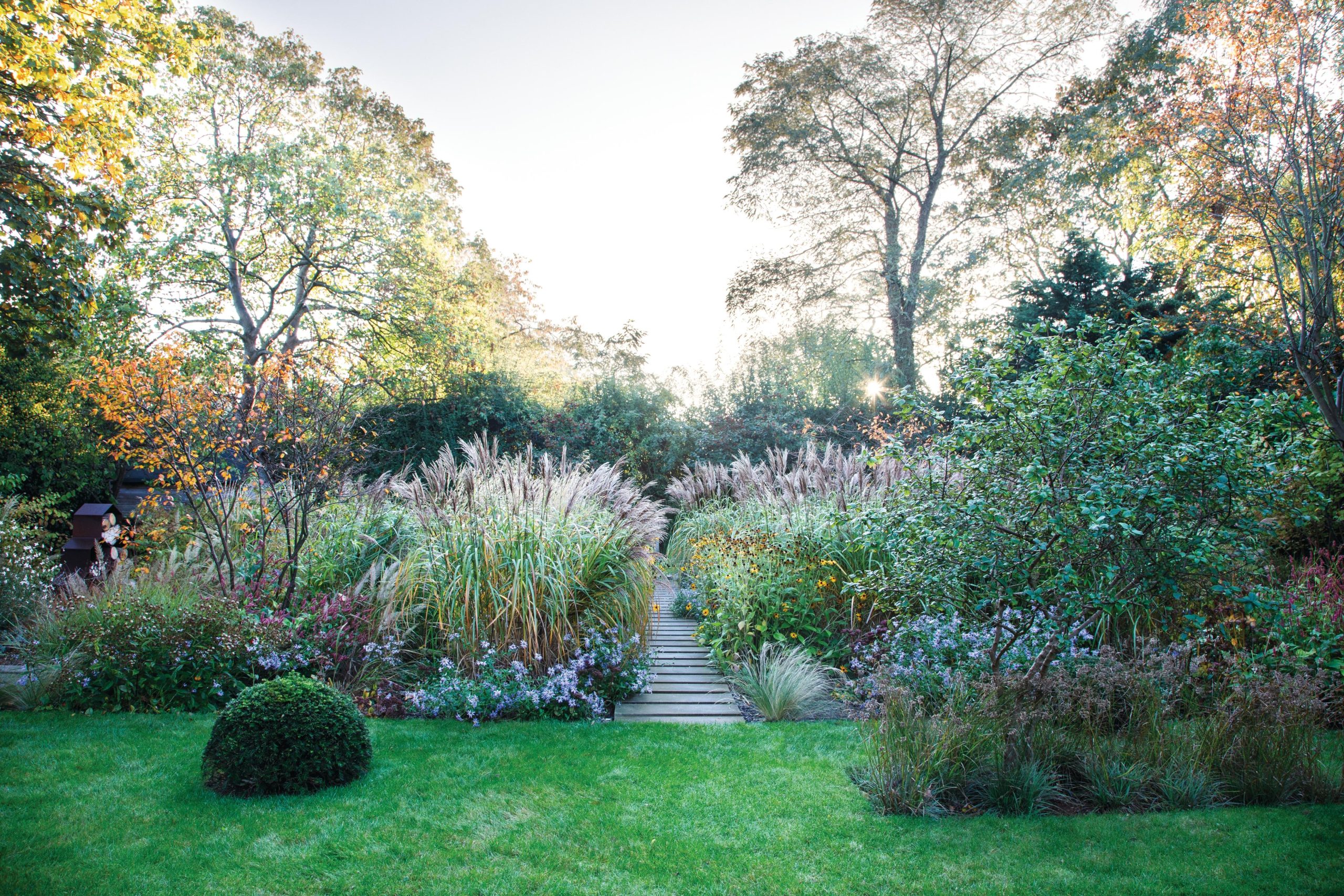 Garden borders with pathway