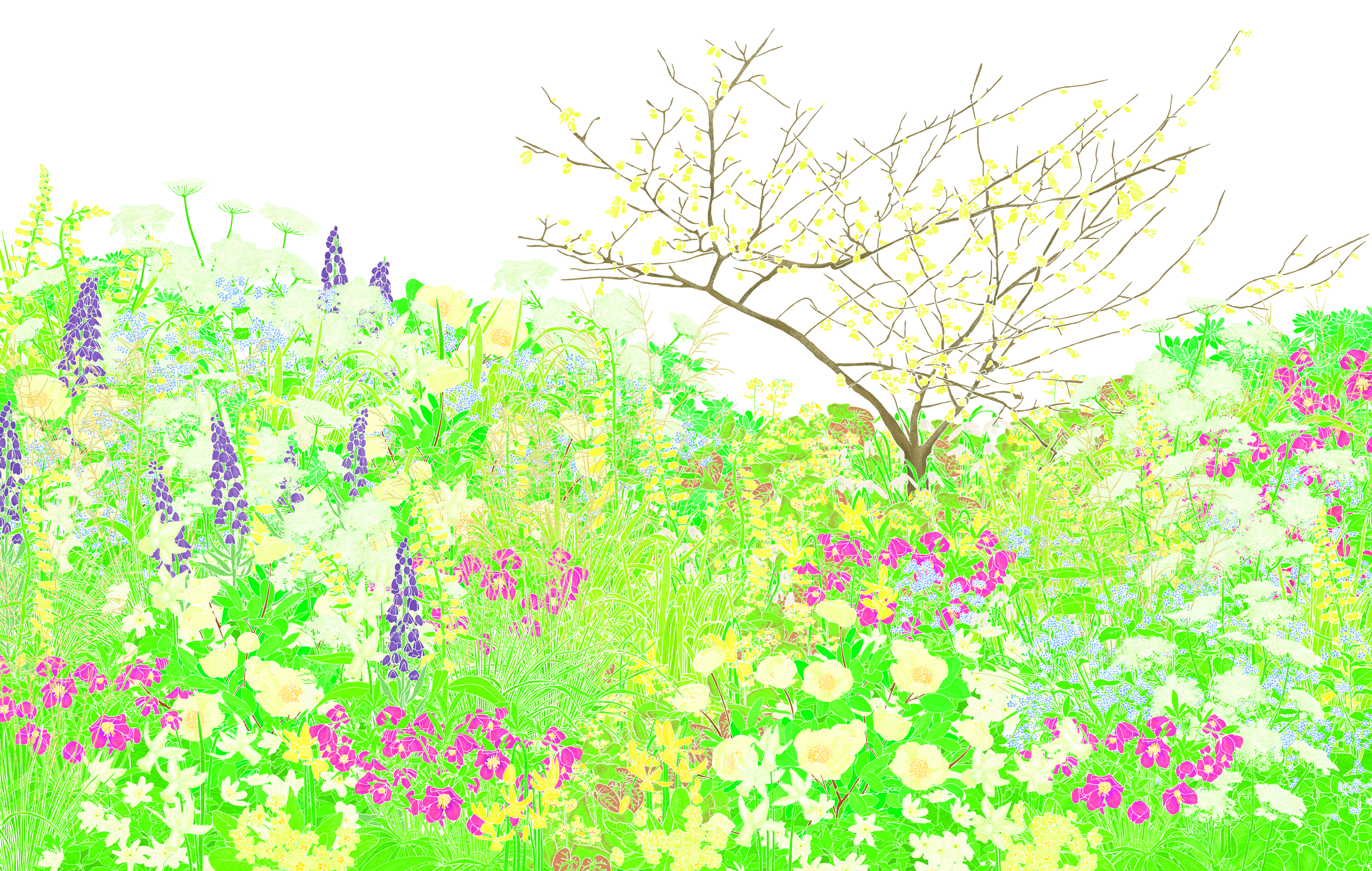 Garden designer Sarah Price spring border plan
