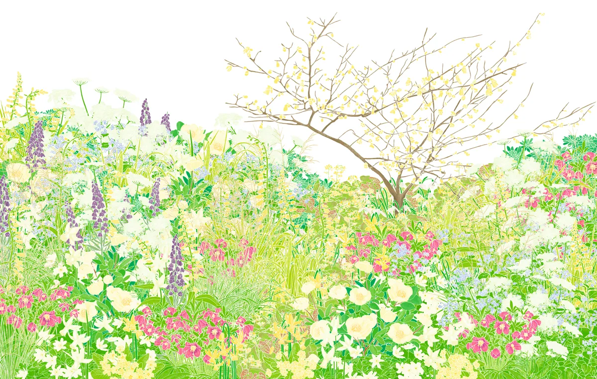 Garden designer Sarah Price spring border plan