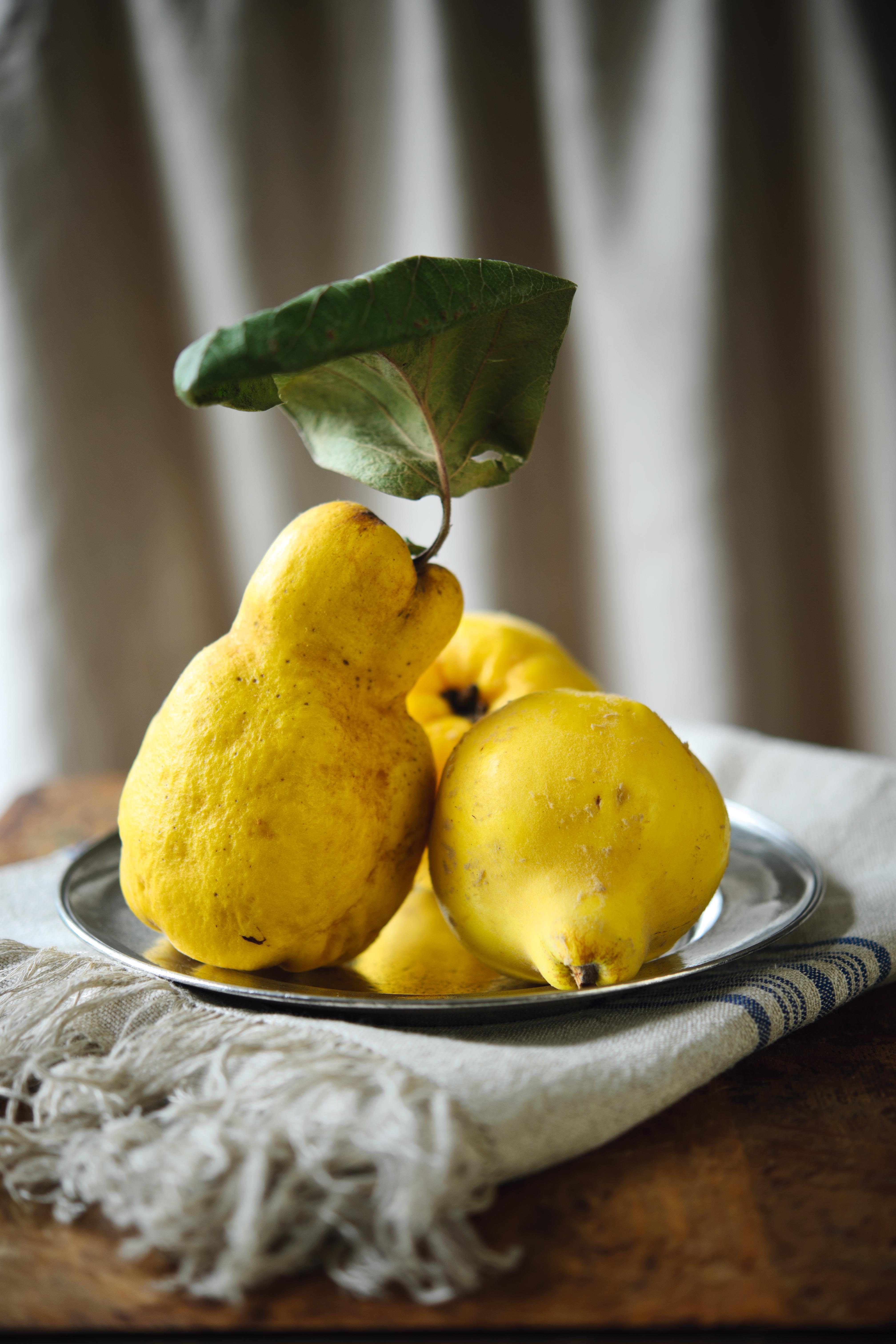 Quince: what is it and how to plant quince