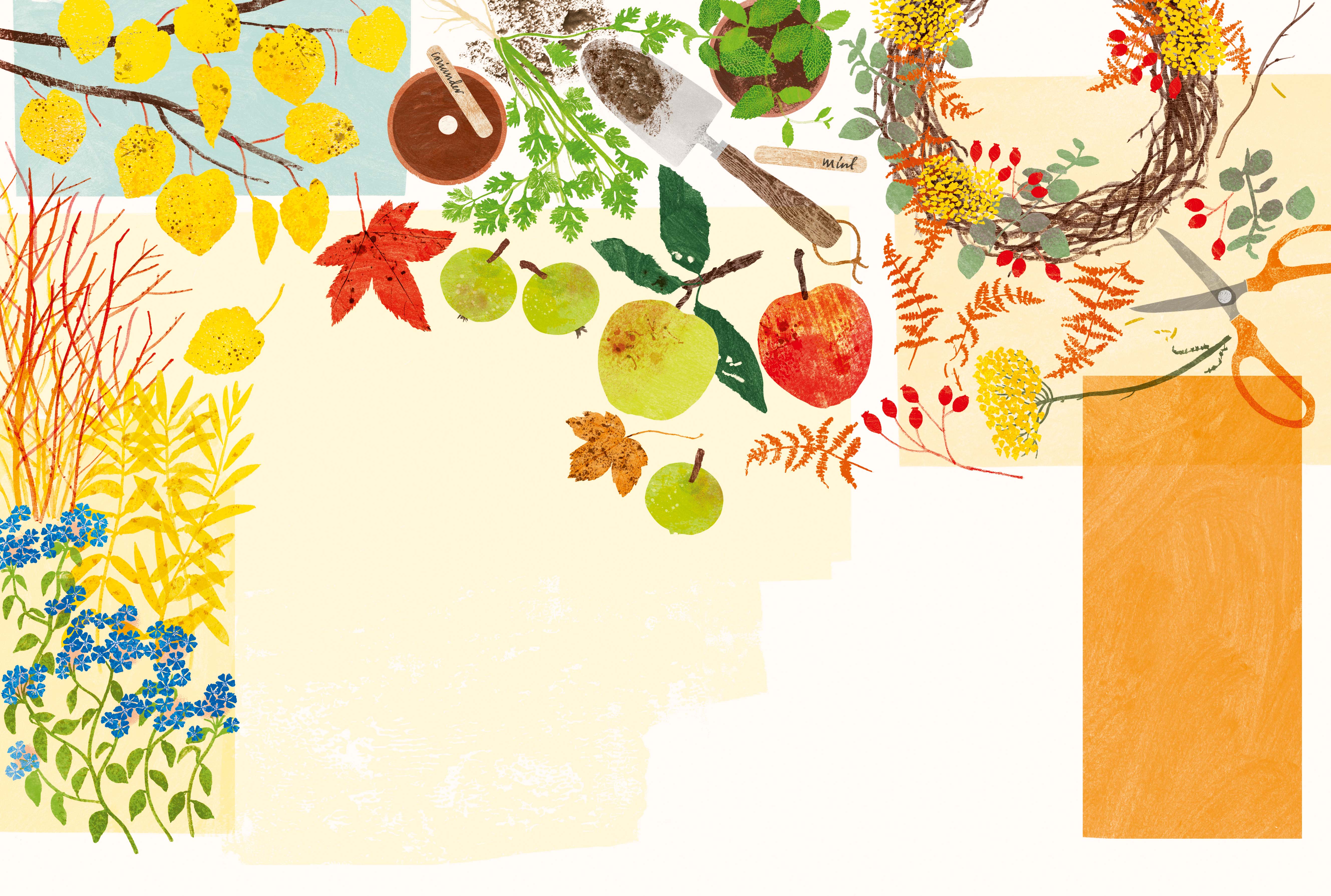 What to plant in October © Alice Pattullo