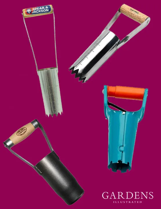 A selection of bulb planters on a pink background